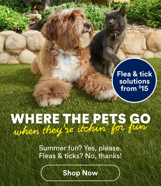 Where the pets go to when they are itchin for fun