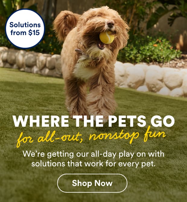 Where the pets go for all-out, nonstop fun