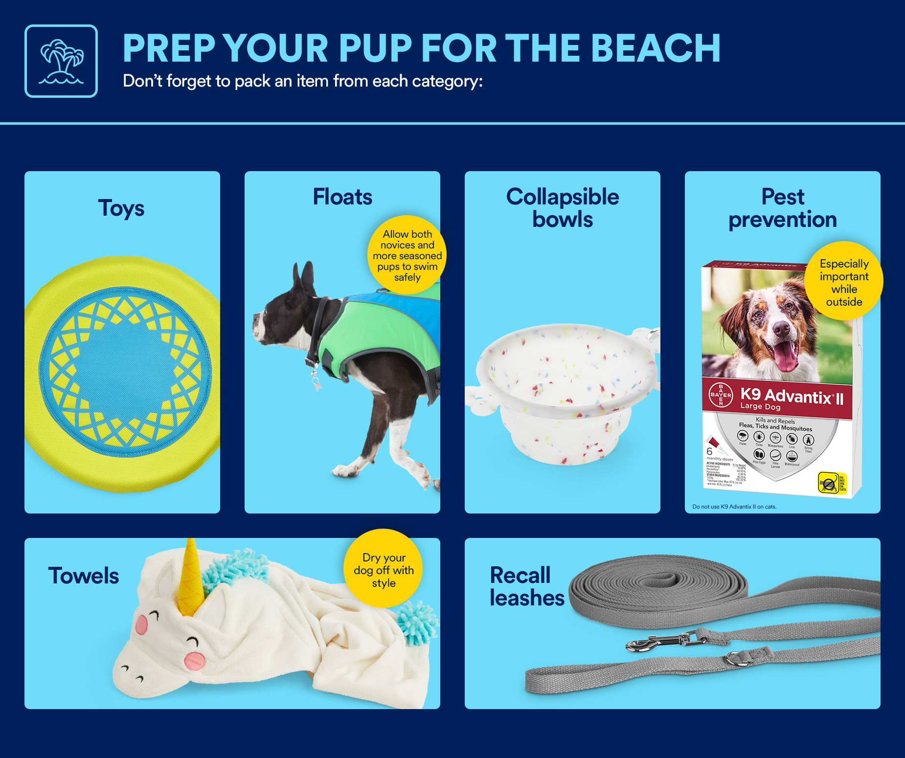 Beachcombing With Your Best Friend | Petco