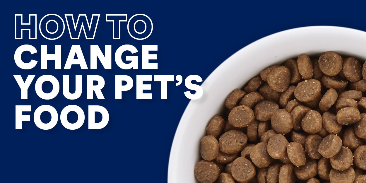 how long do you feed puppy food large breed