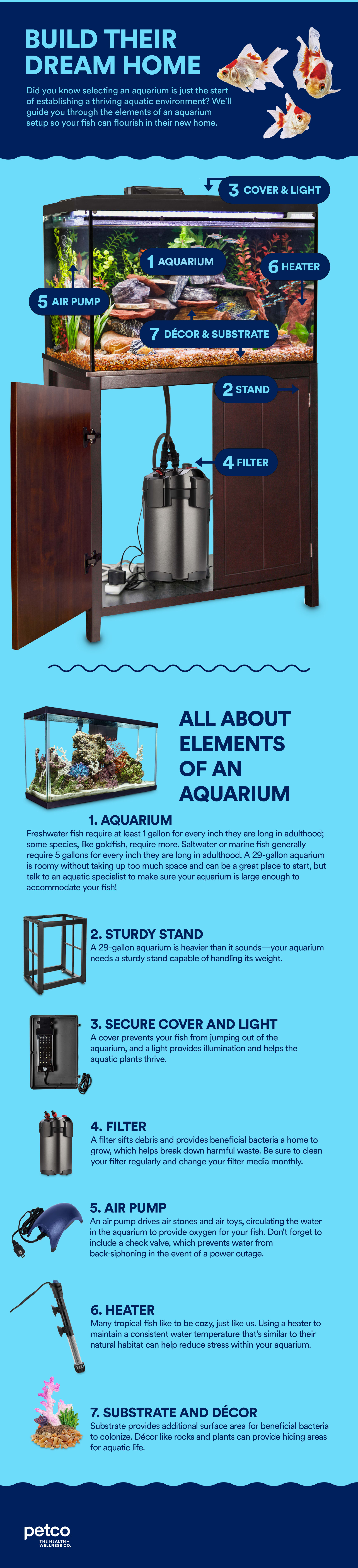 How to set up a coldwater fish tank - Help Guides