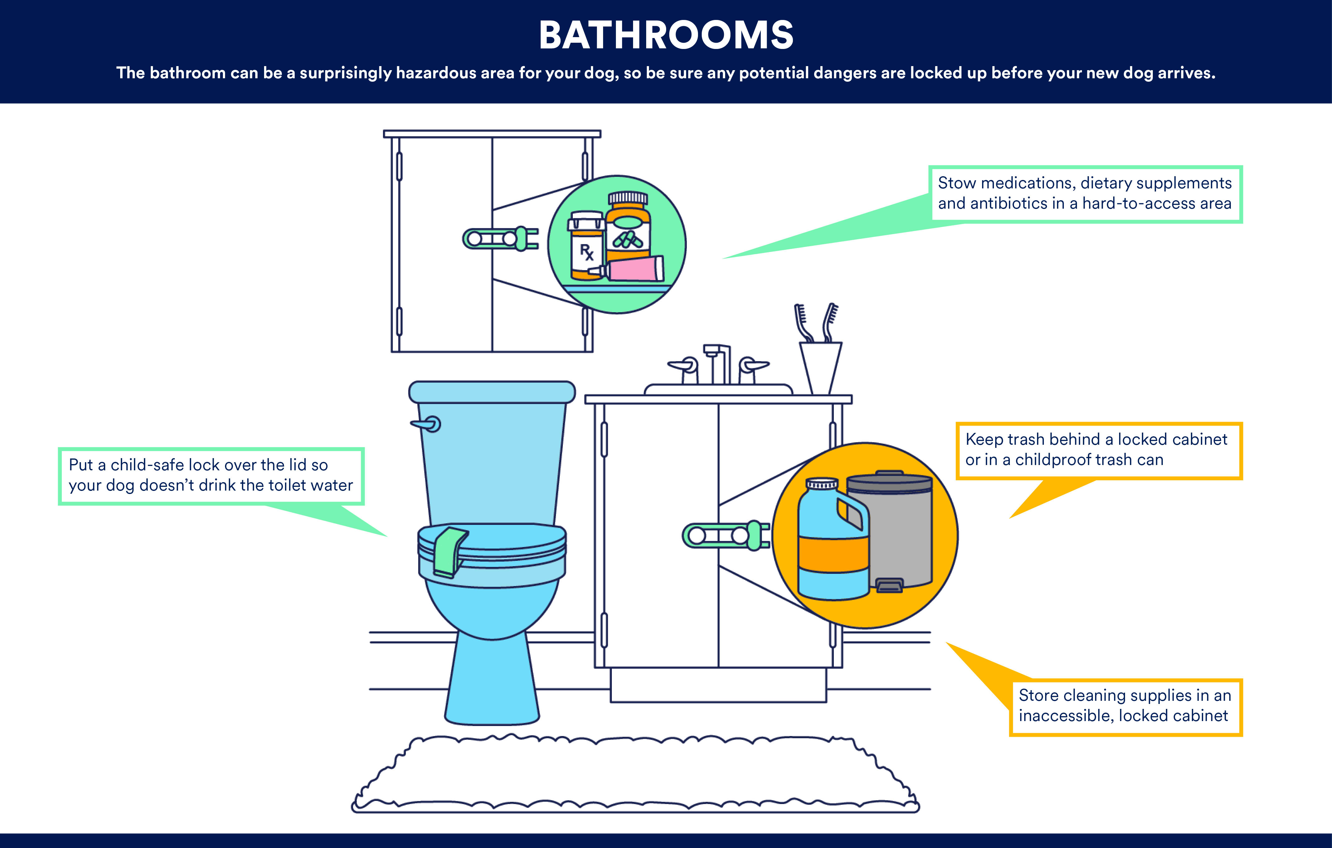 https://assets.petco.com/petco/image/upload/f_auto,q_auto/21-473853%20-%20INFOGRAPHIC_New%20Pet_Dog-Proofing_20211101_Bathroom