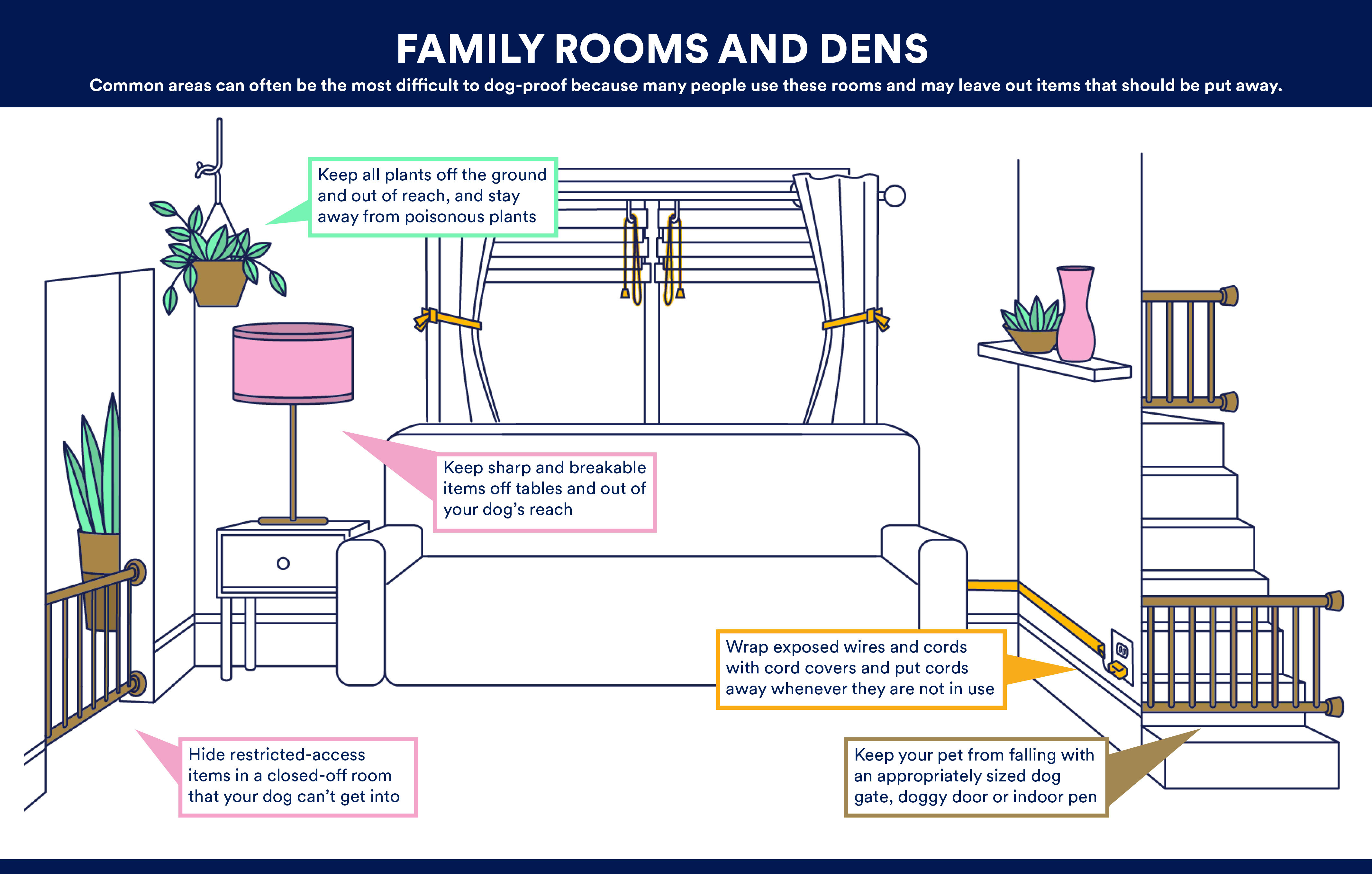 Puppy-Proofing Your Home: 4 Things You Should Know - Toast Life