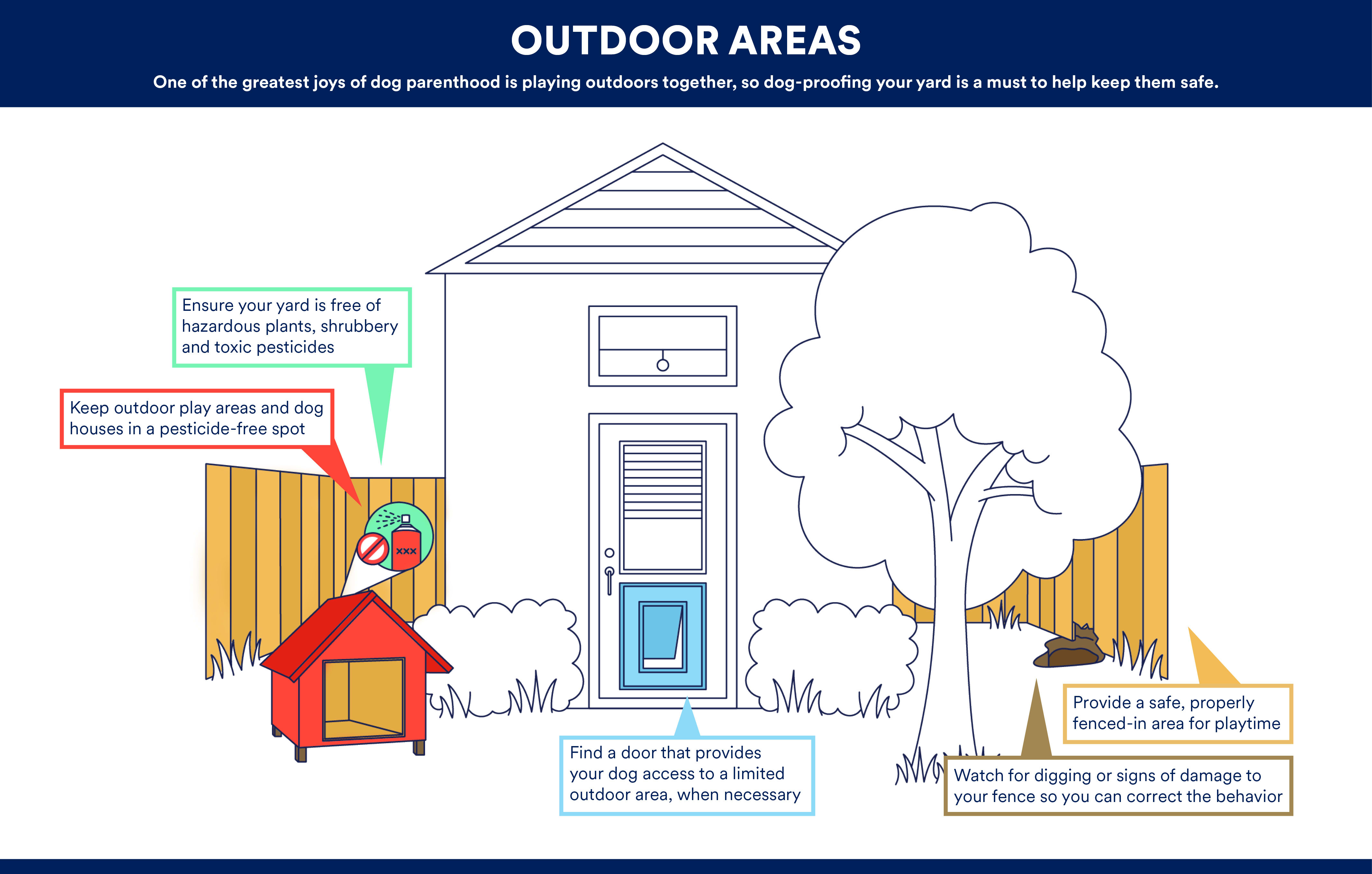 How to Puppy-Proof Your House: Create a Safe Space for Dogs