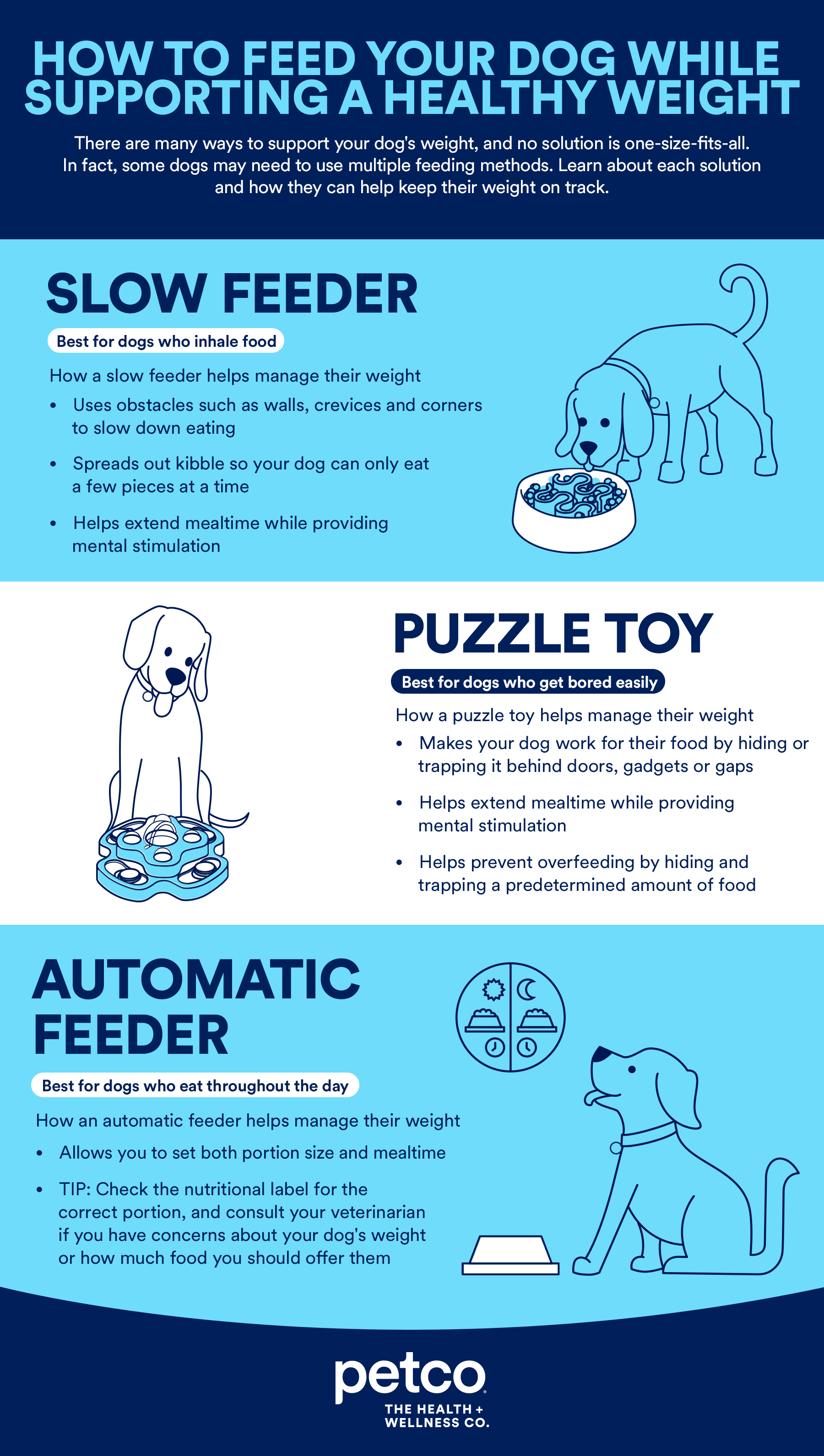 Dog Feeding Methods for Weight Management