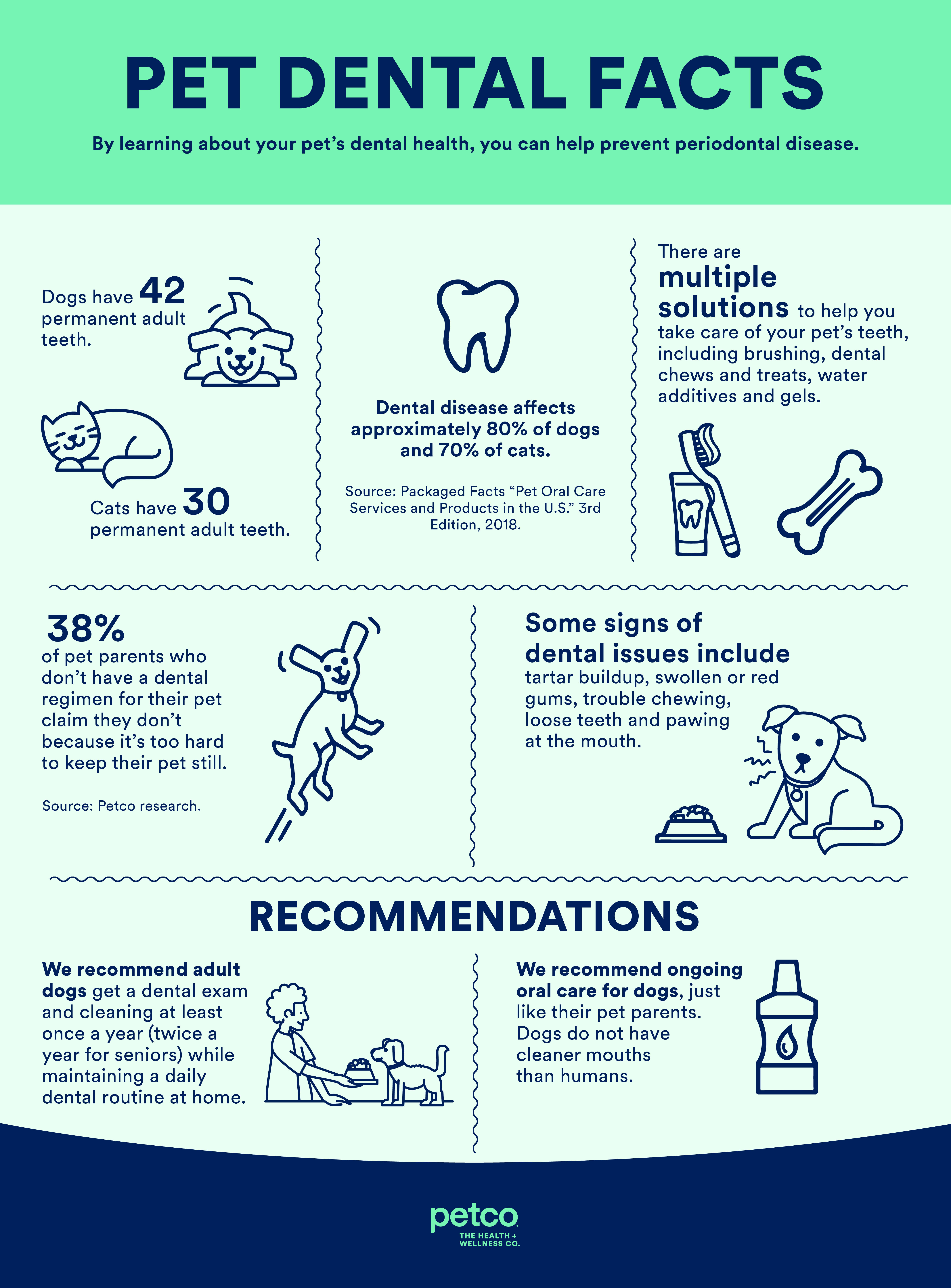 The Ultimate Guide to Dog Dental Care: Tips for Keeping Your Dogs Teeth Healthy