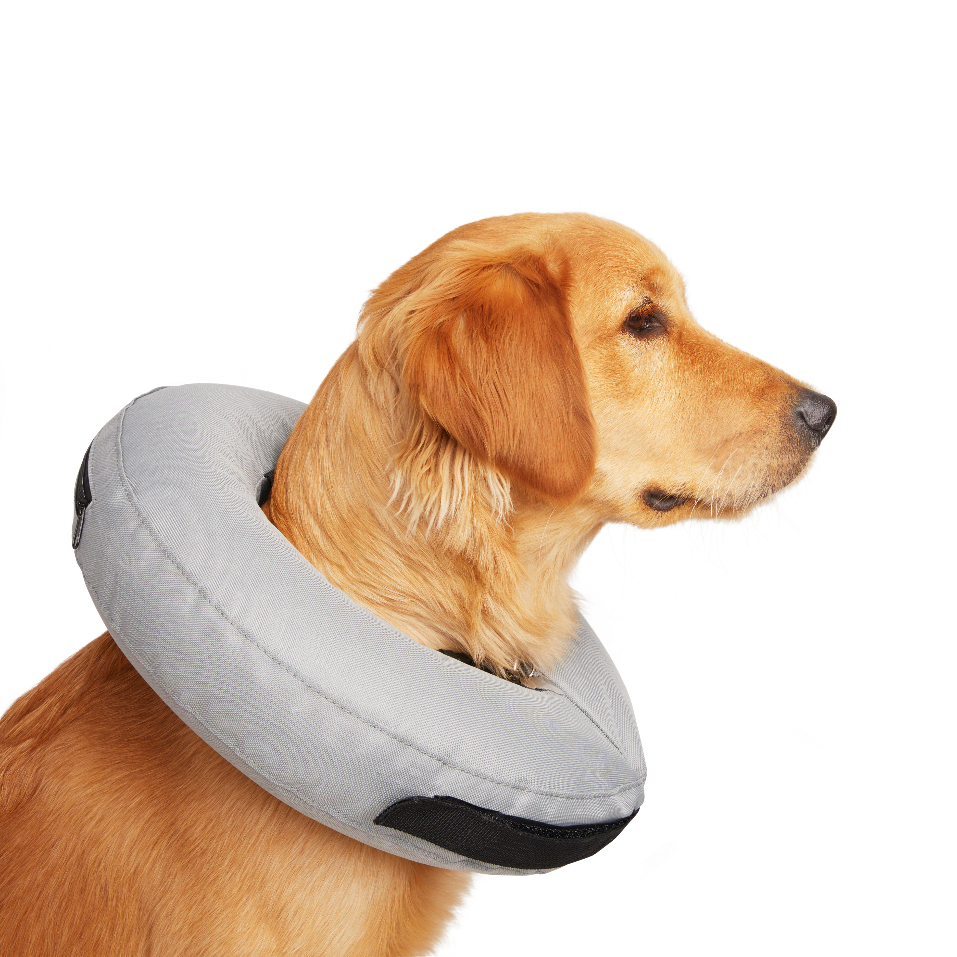 Well & Good Inflatable Collar for Dogs & Cats - M (Medium)