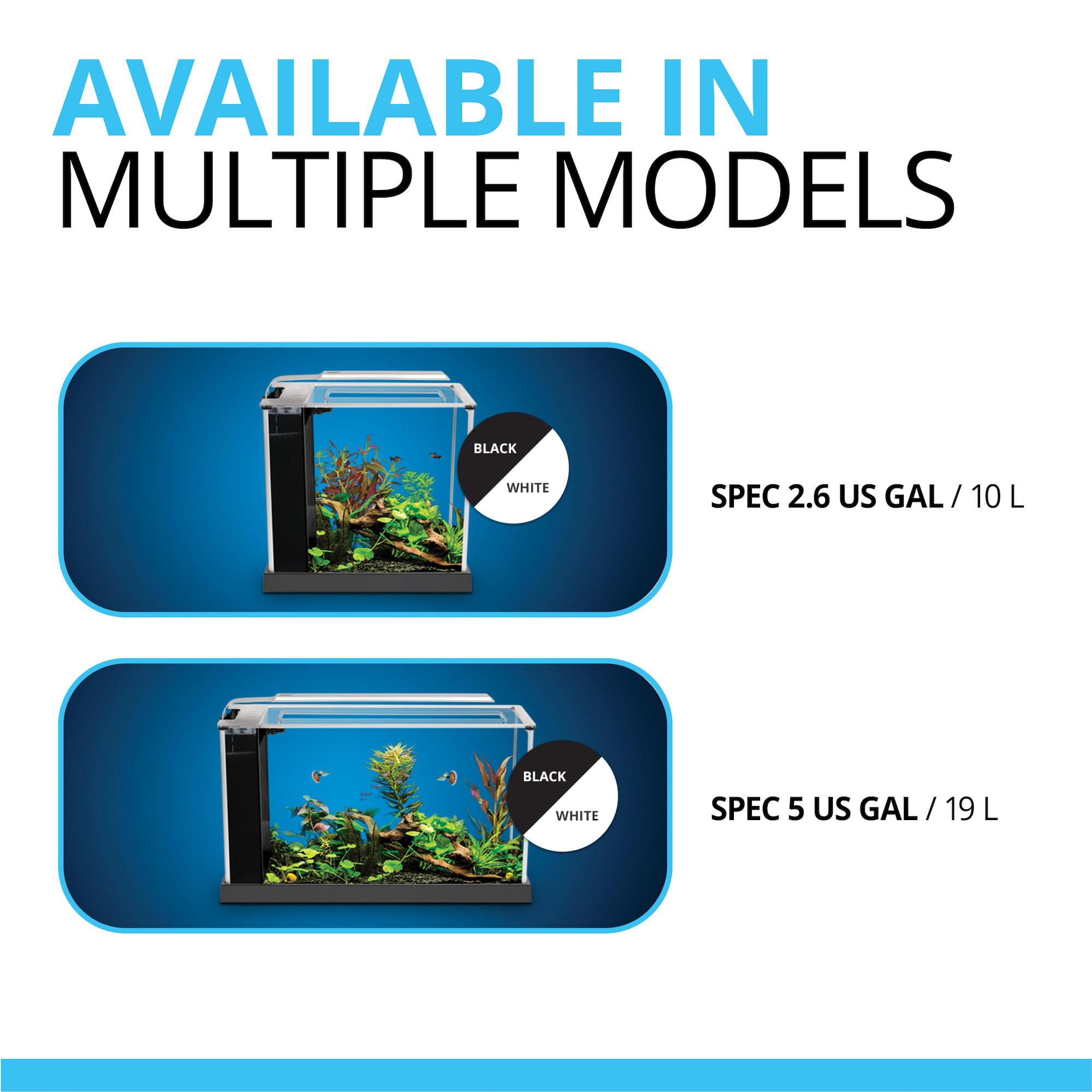 Petco sales fluval spec