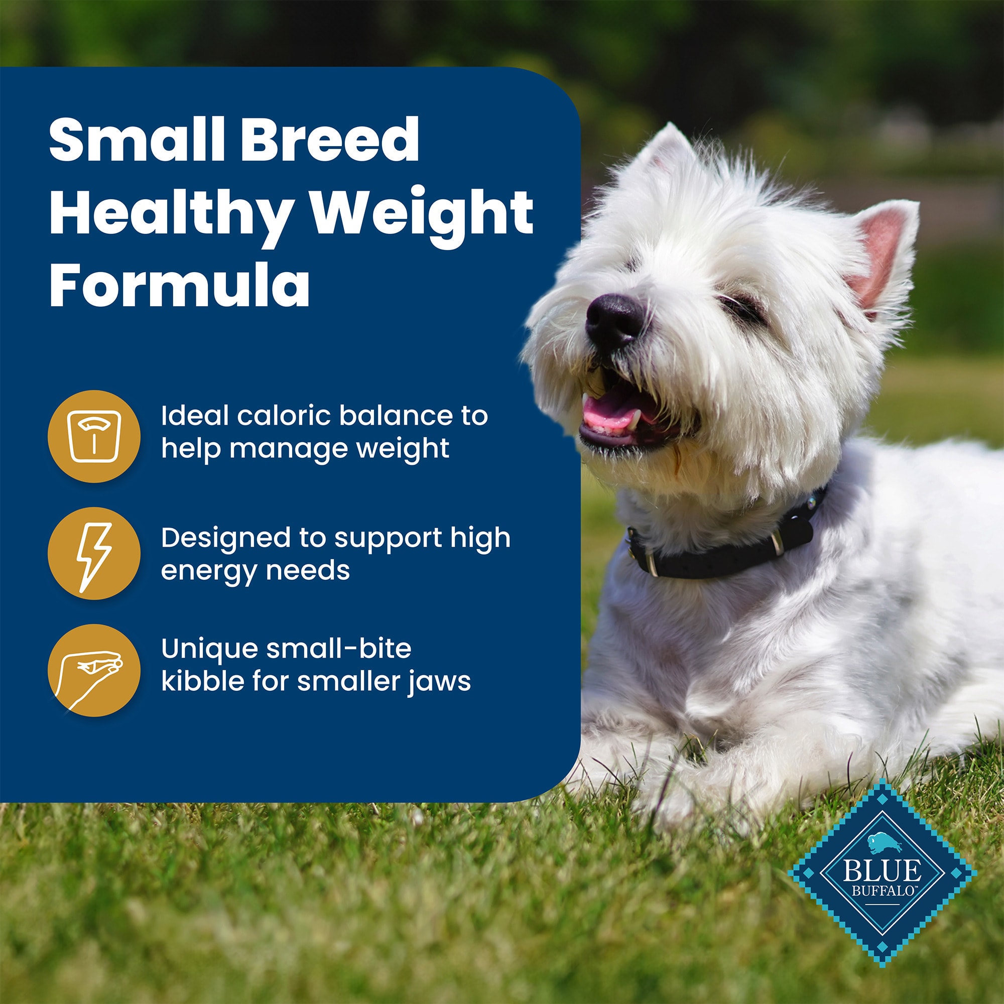 Blue wilderness small outlet breed healthy weight