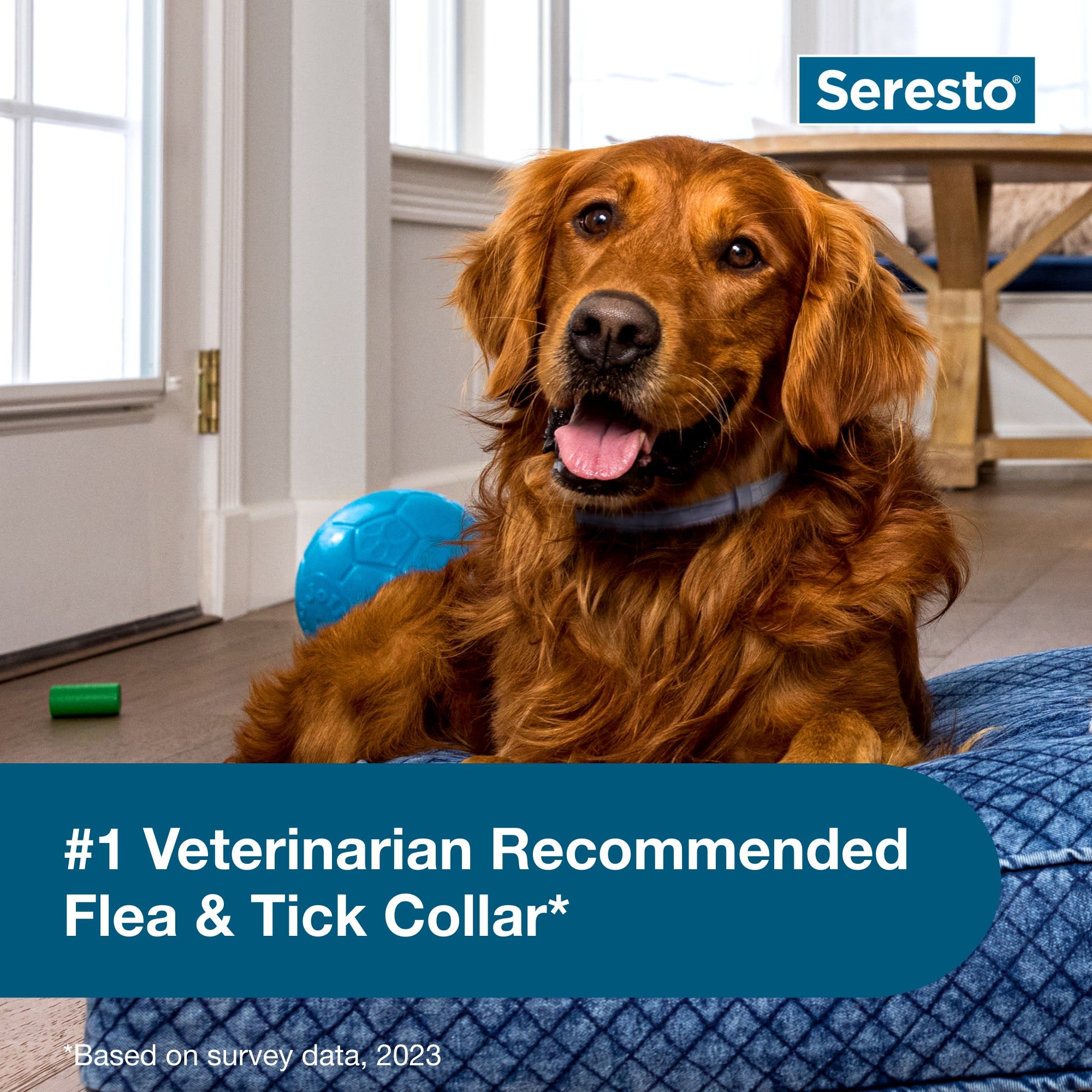 Seresto Flea Tick Collar for Large Dogs 8 Month Protection