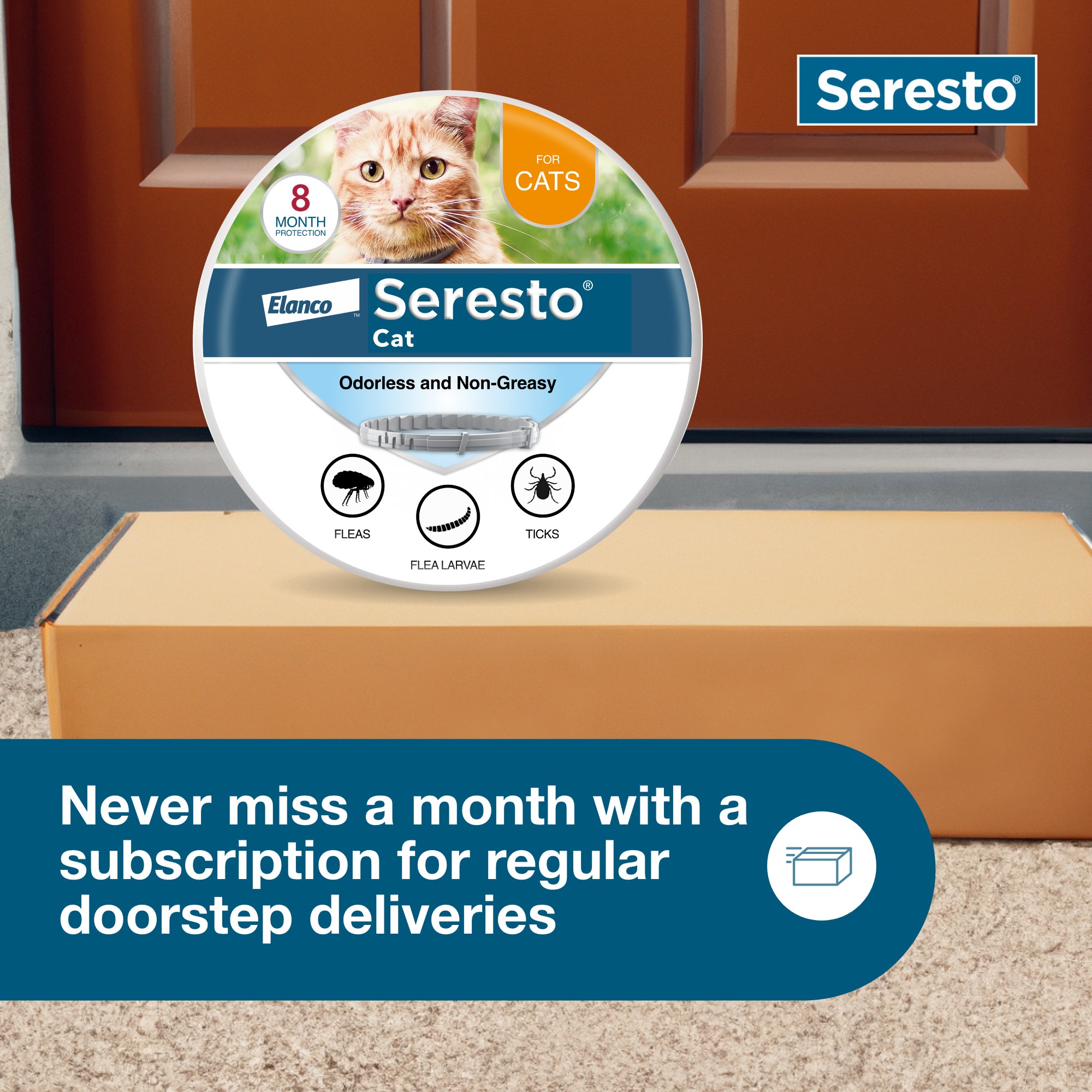 Seresto cat collar outlet chewy