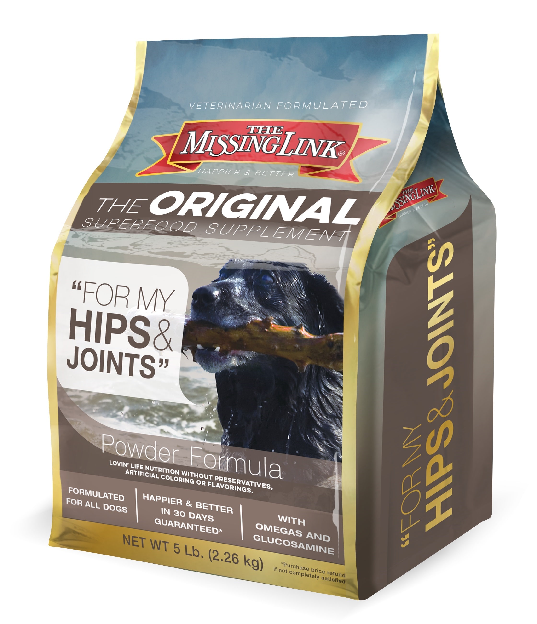 the missing link hip and joint