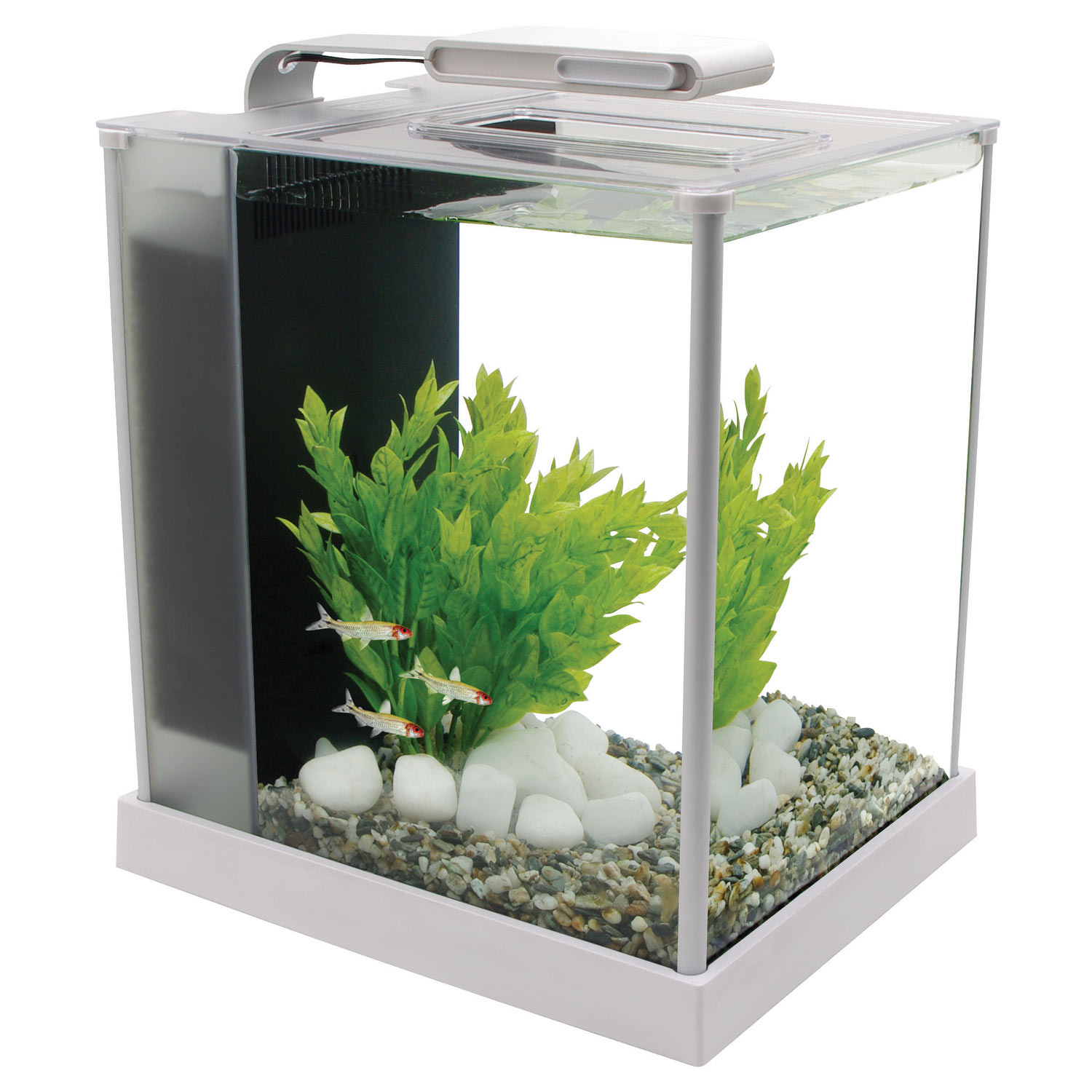 petco small fish tank