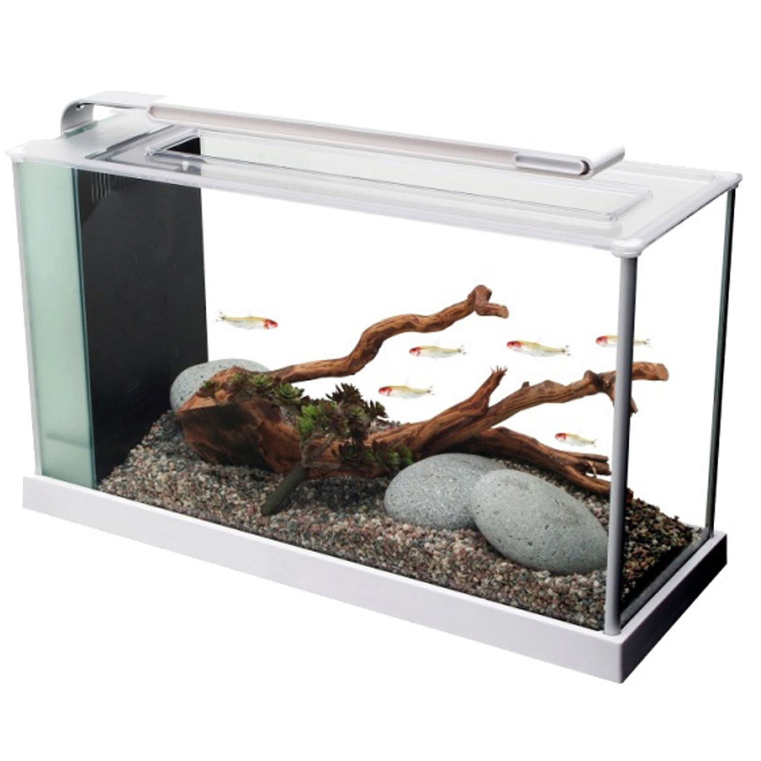 Verheugen meest winkel Fluval White Spec V Aquarium Kit, 5 Gallon | Petco