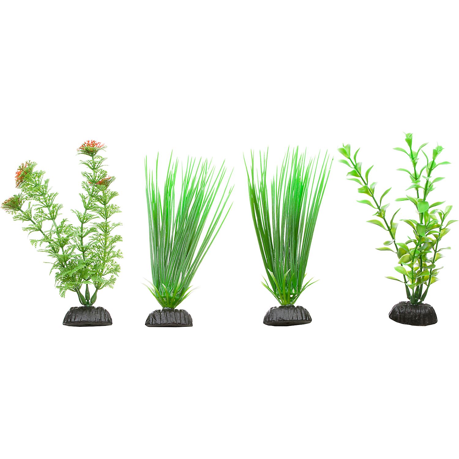 Petco 2025 aquarium plants