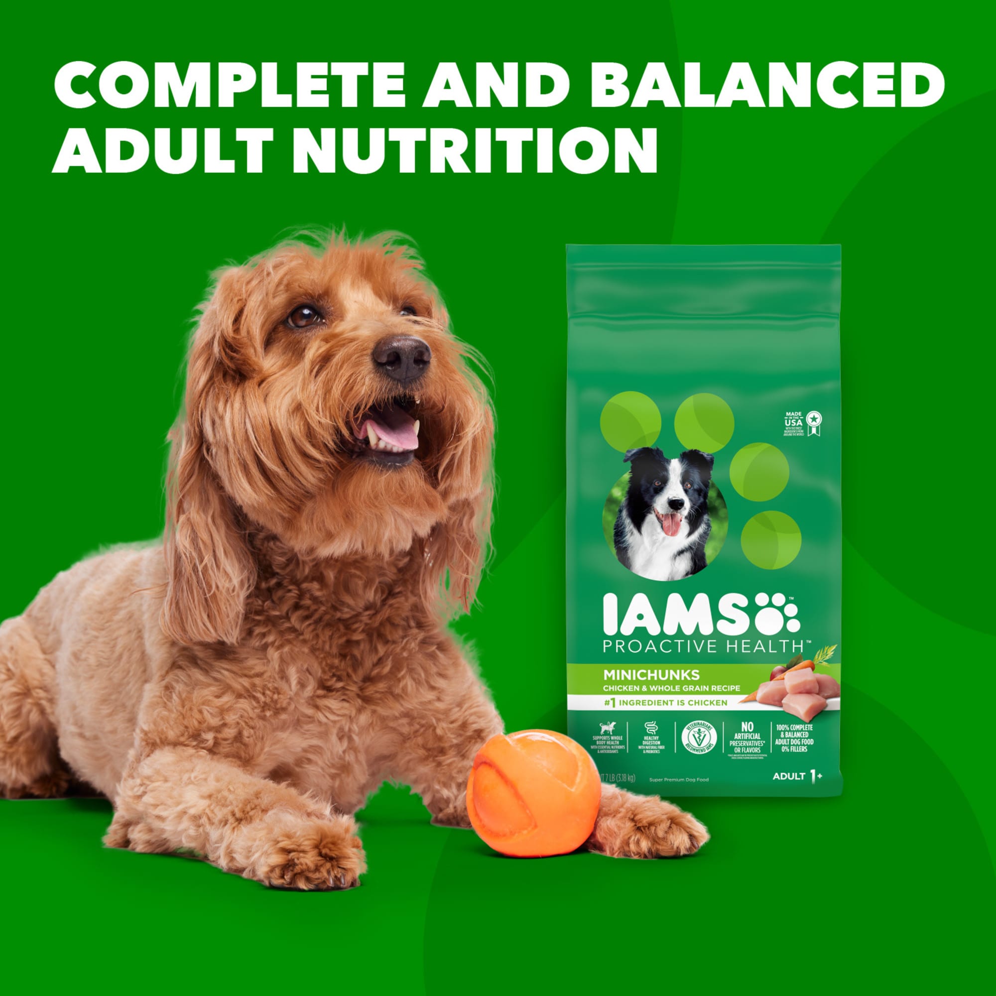 Petco iams dog food hotsell