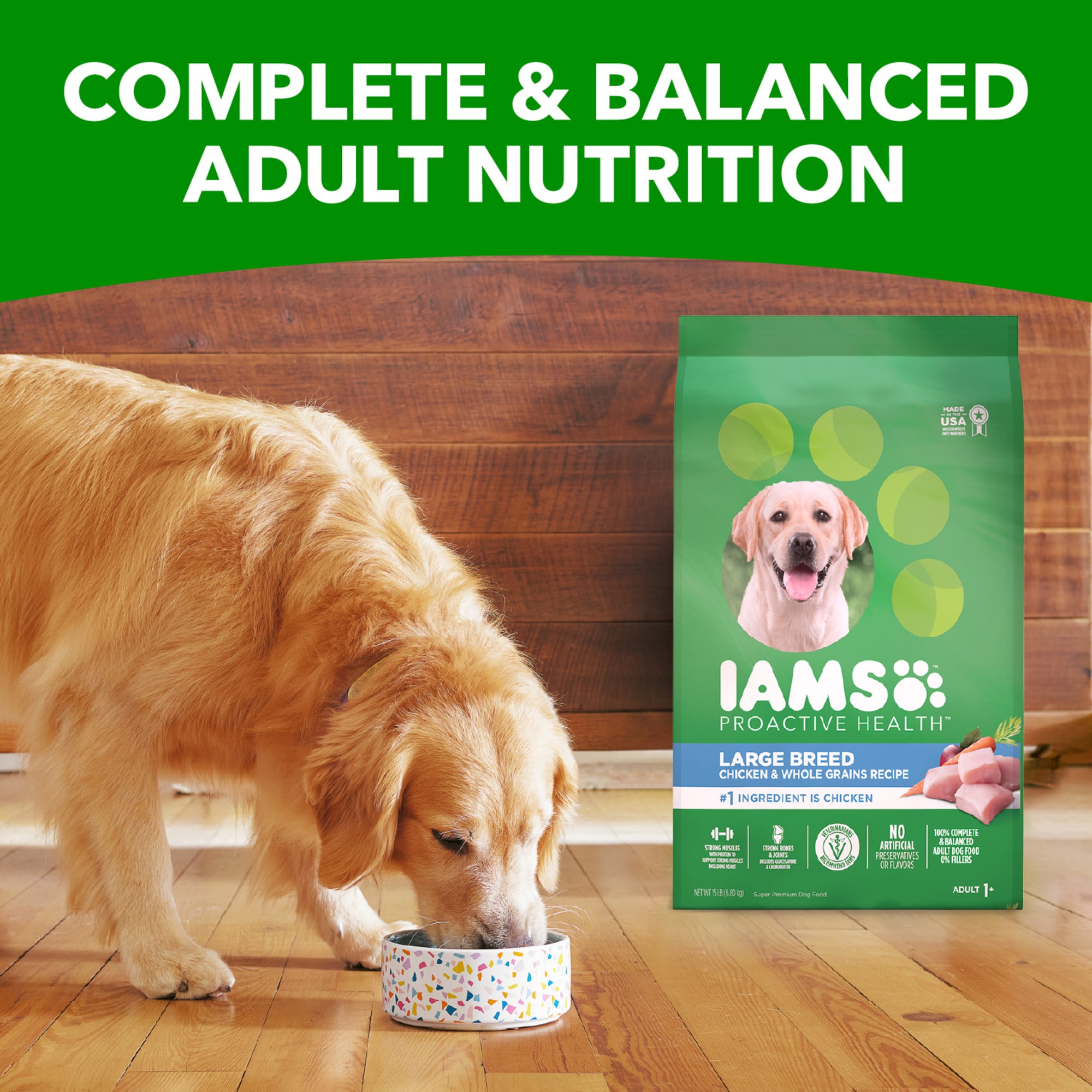 IAMS ProActive Health Large Breed Dry Dog Food with Real Chicken