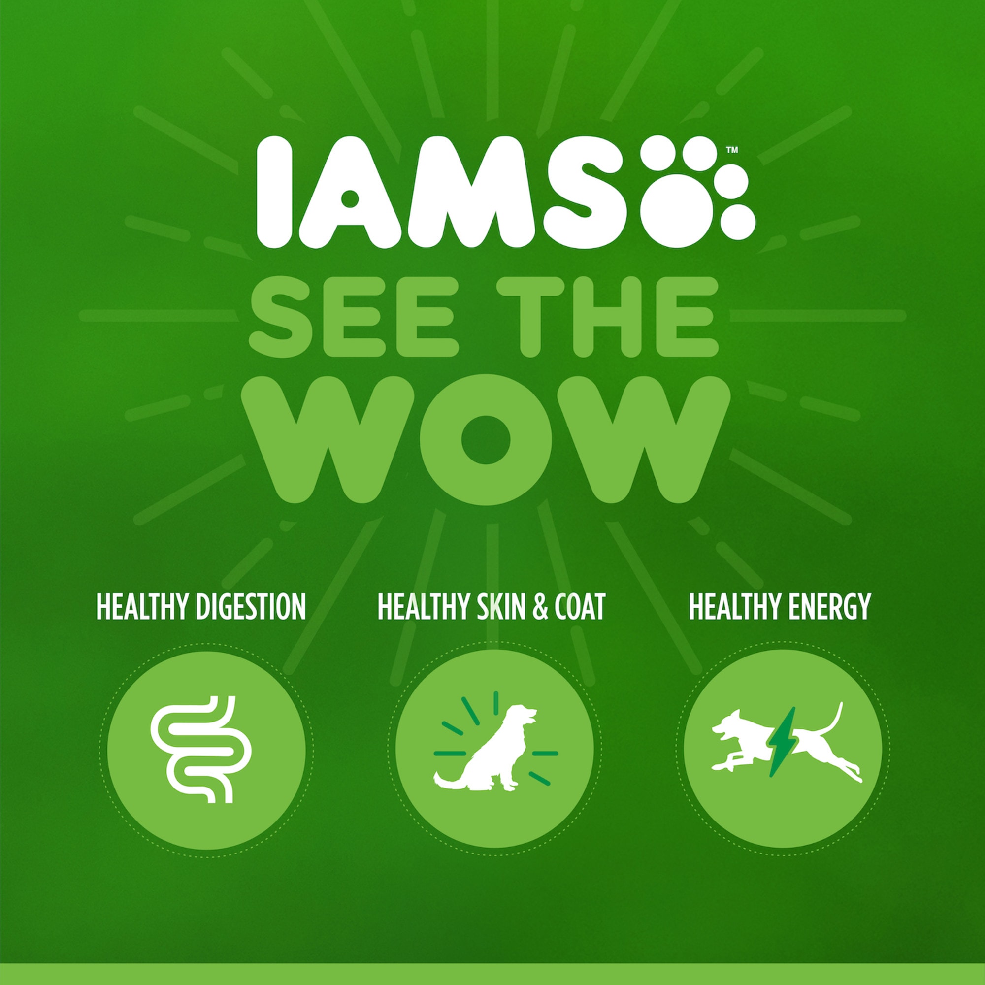 Iams puppy food for hotsell large breeds