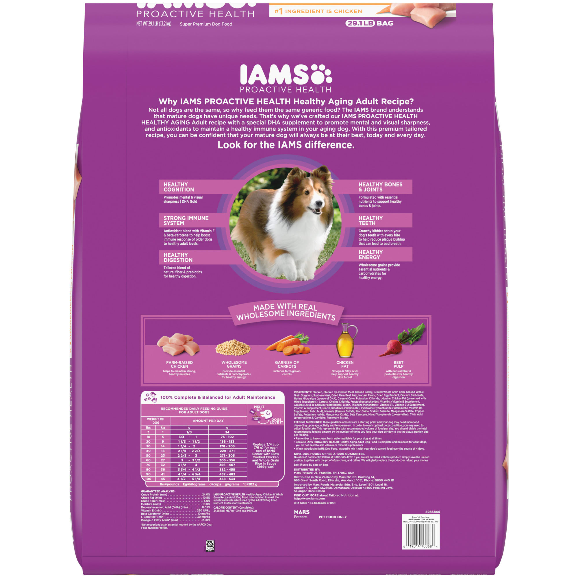 Iams proactive health senior best sale dog food