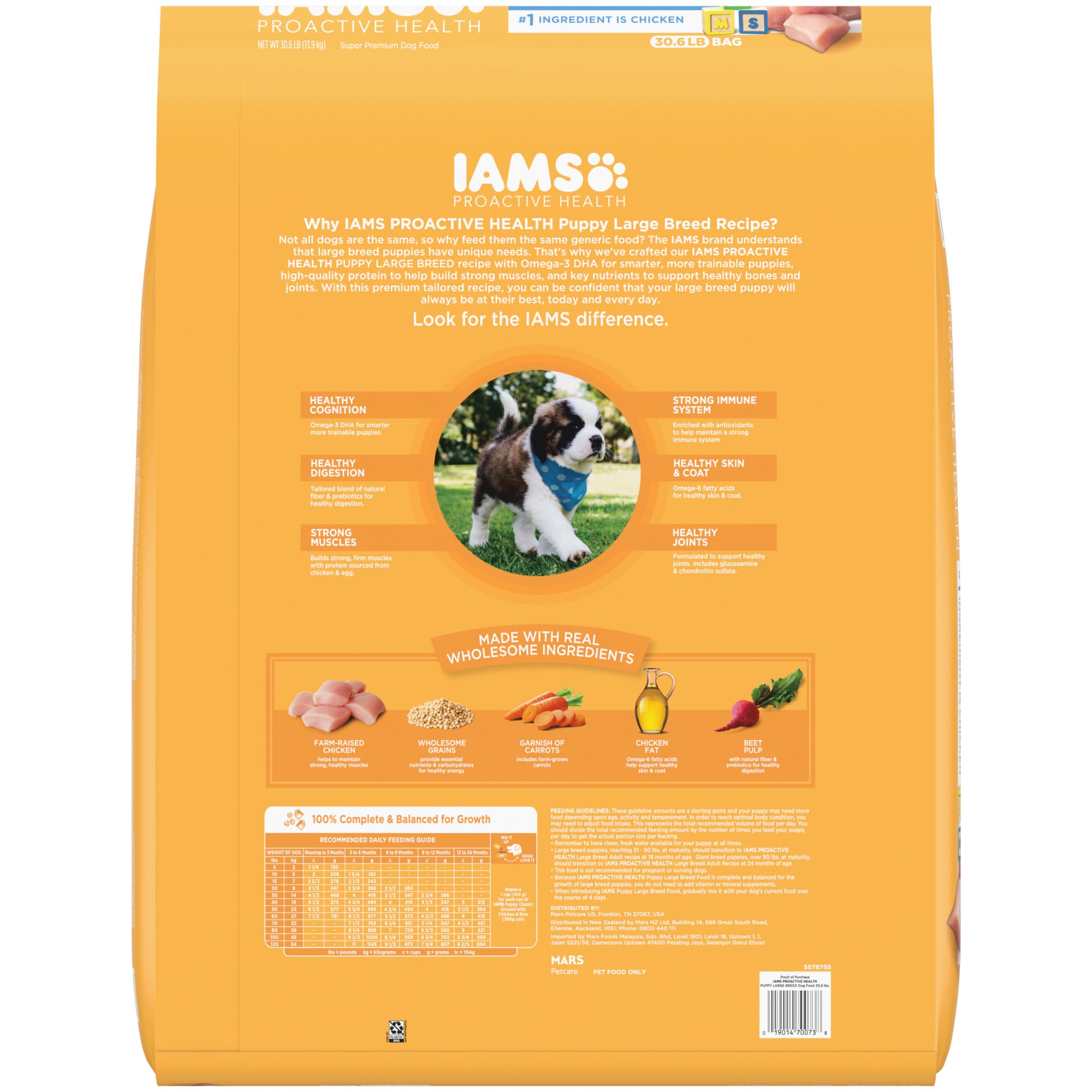 iams proactive smart puppy