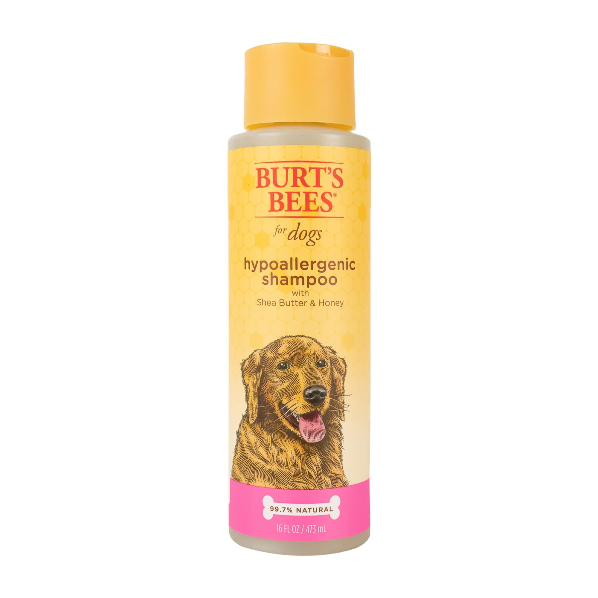 burt's bees hypoallergenic cat shampoo