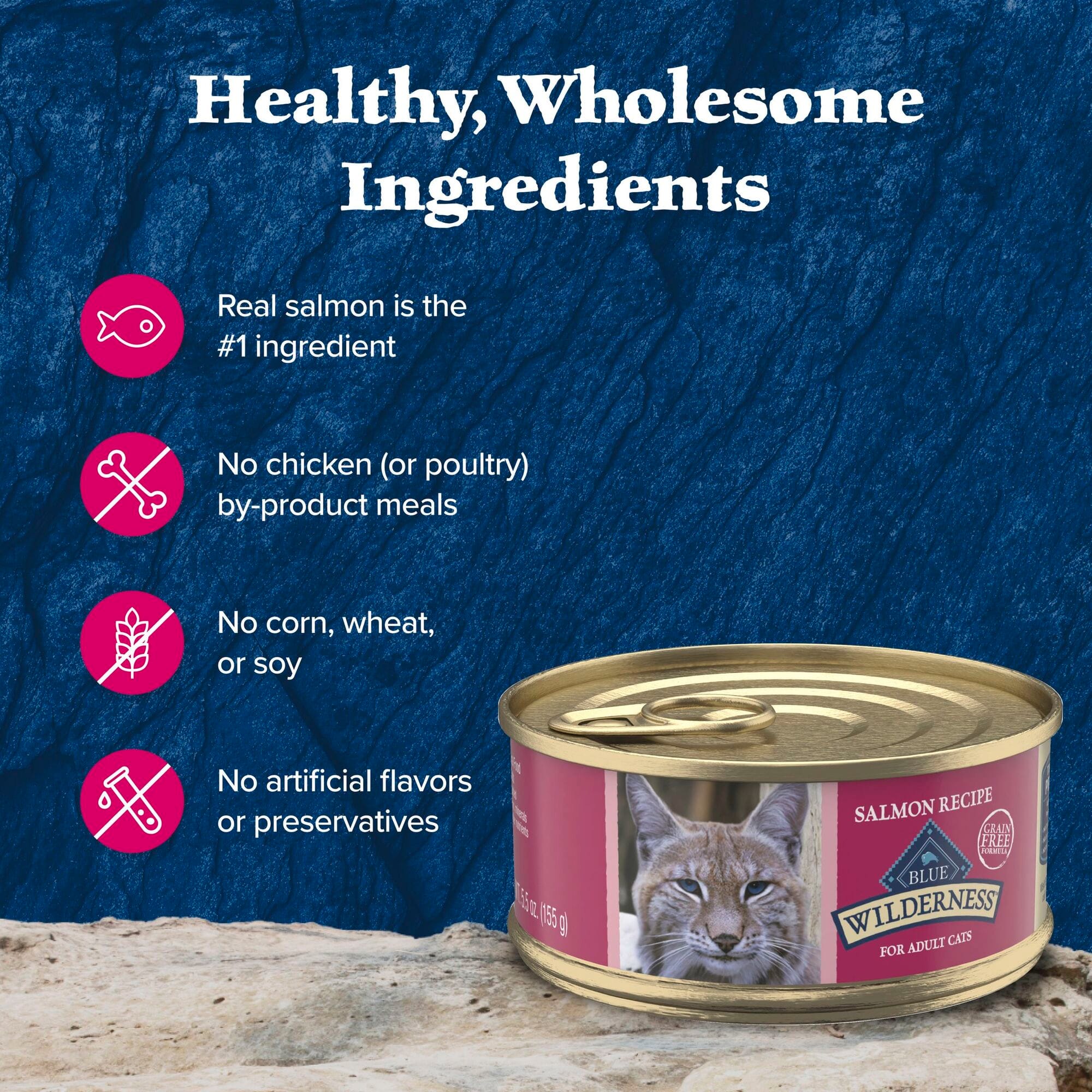 buy online royal canin cat food Royal Canin Feline Health Nutrition Kitten Dry Kitten Food  Lees' Feed &  Western