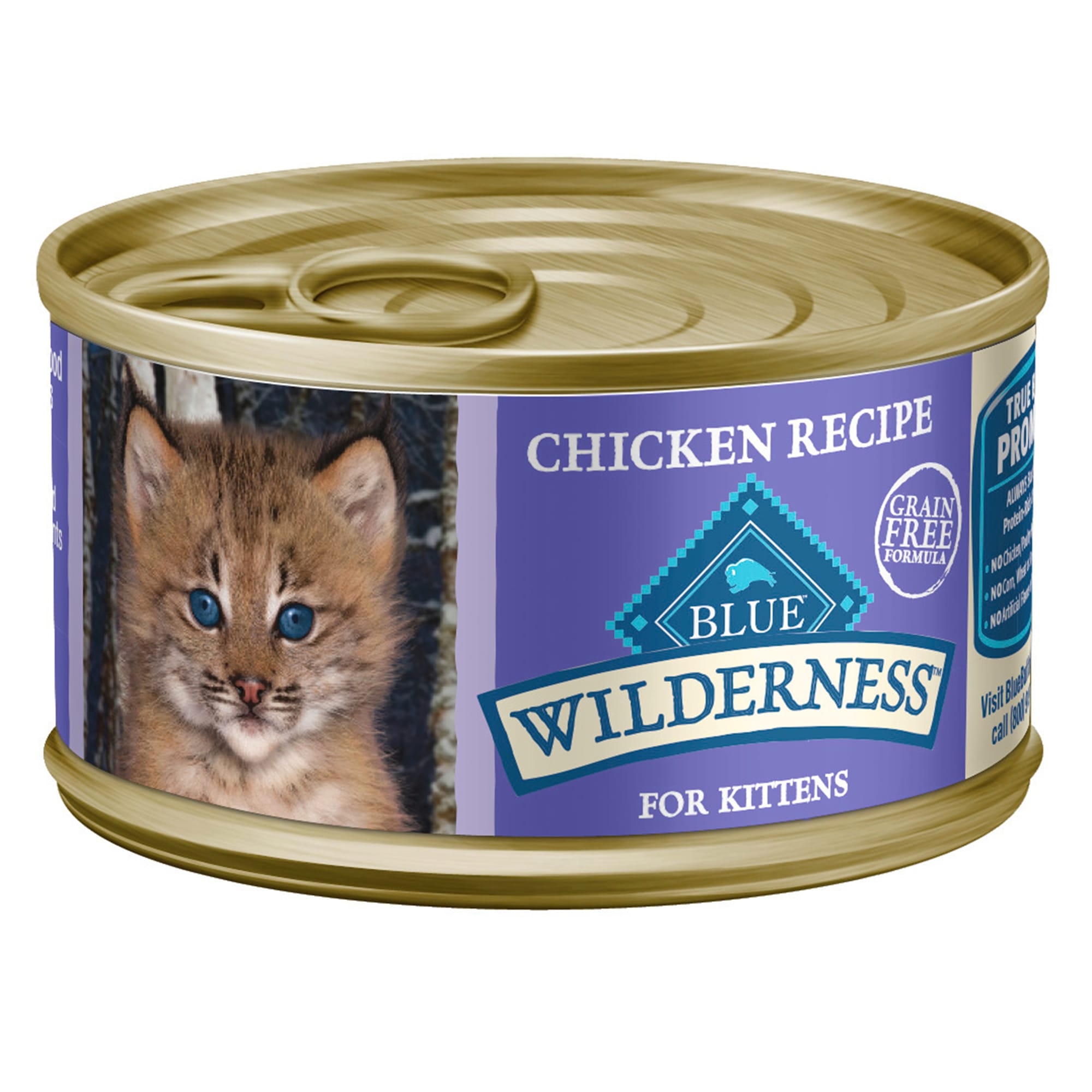 When to start discount kitten on wet food