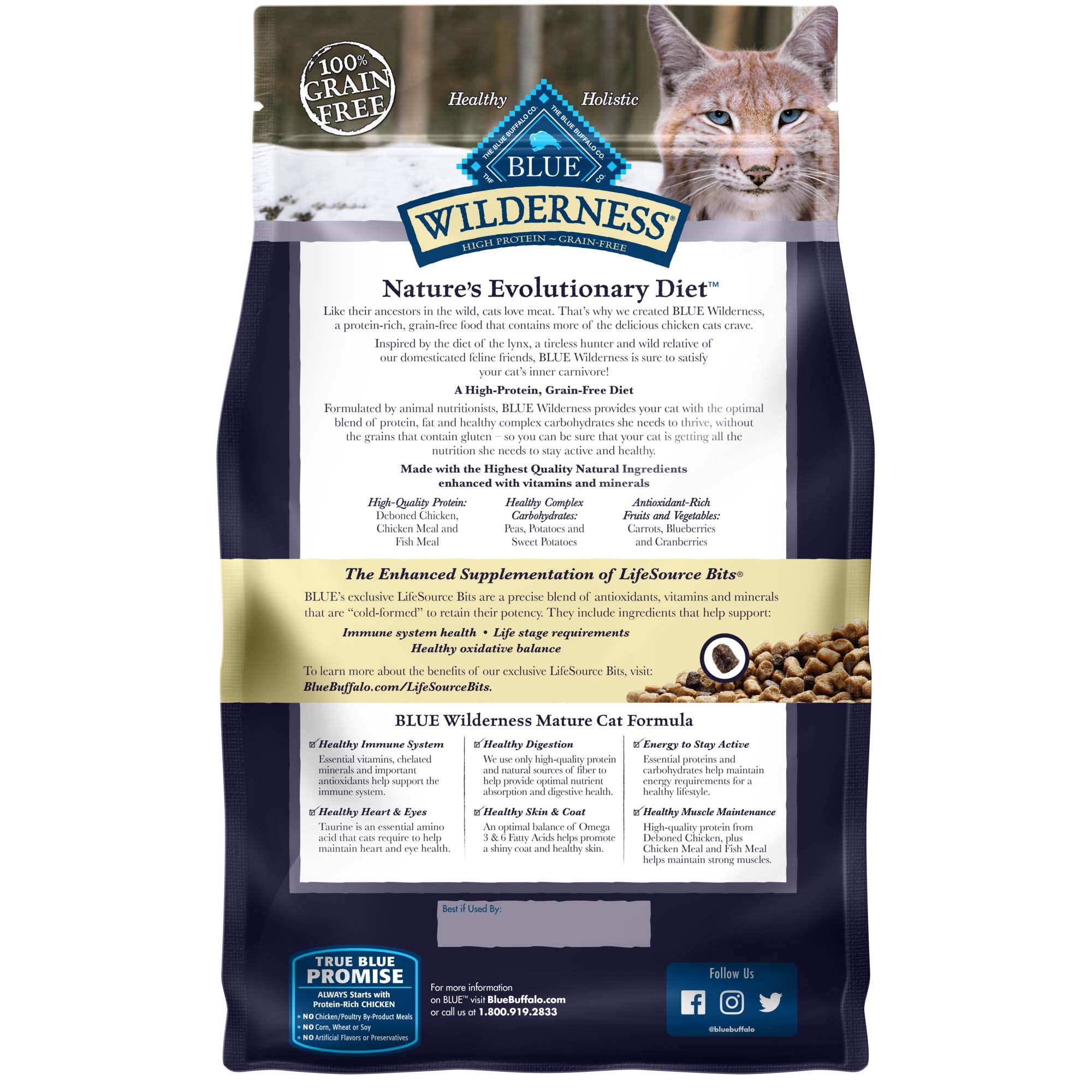 Blue mature cat store food