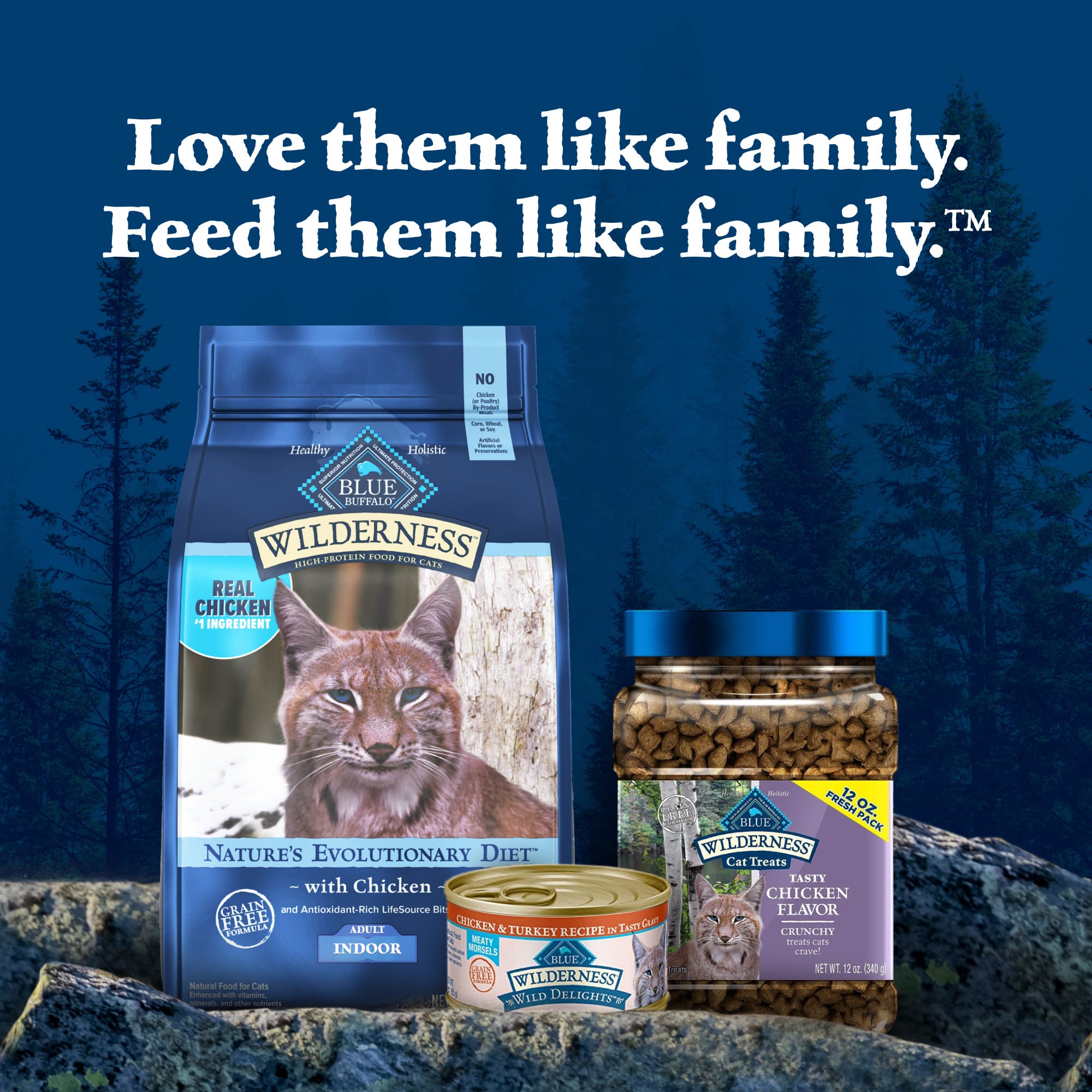 Blue Buffalo Blue Wilderness High Protein Natural Adult Indoor Chicken Dry Cat Food 11 lbs