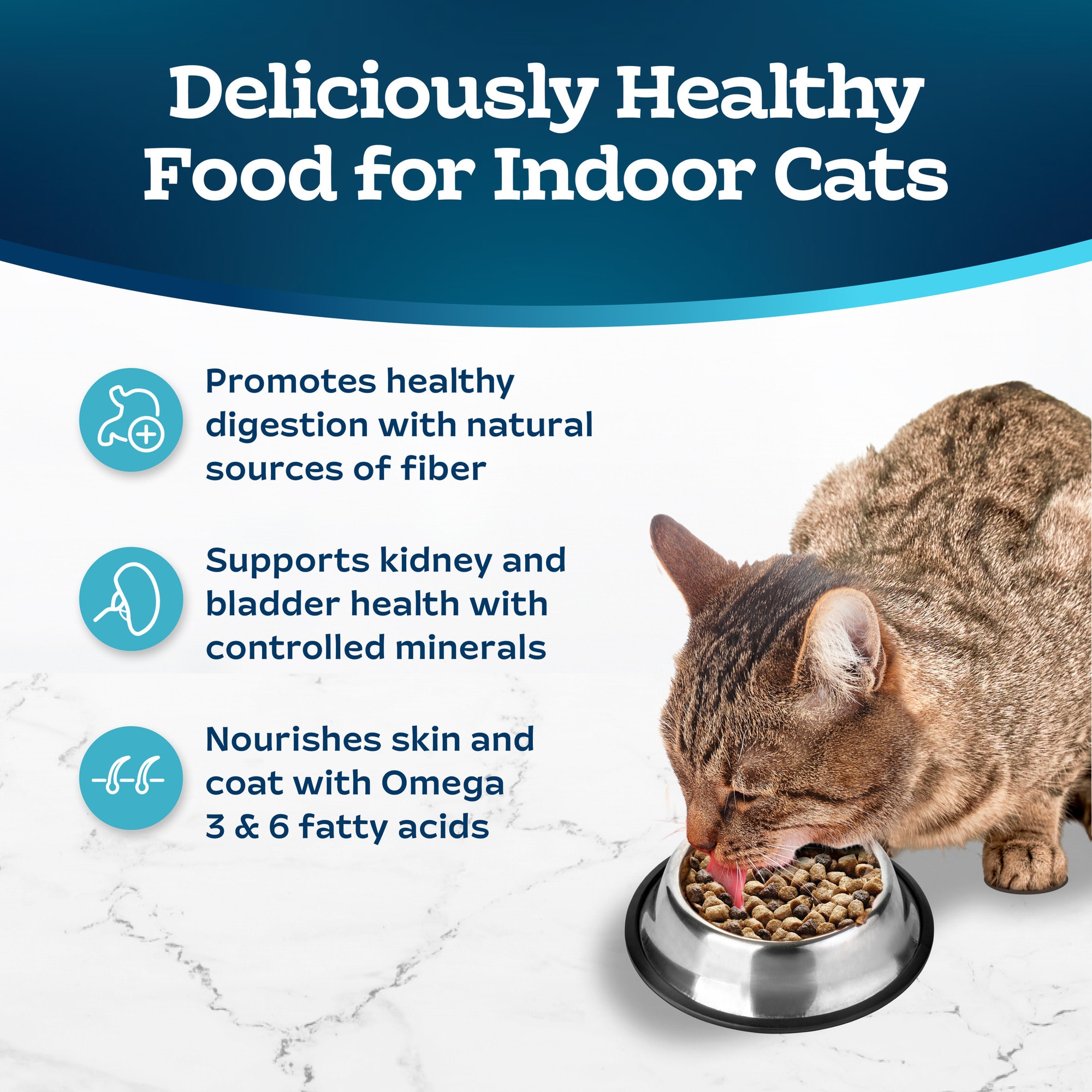 Blue Buffalo Blue Tastefuls Salmon Brown Rice Recipe Natural Dry Food for Adult Indoor Cats 15 lbs. Petco