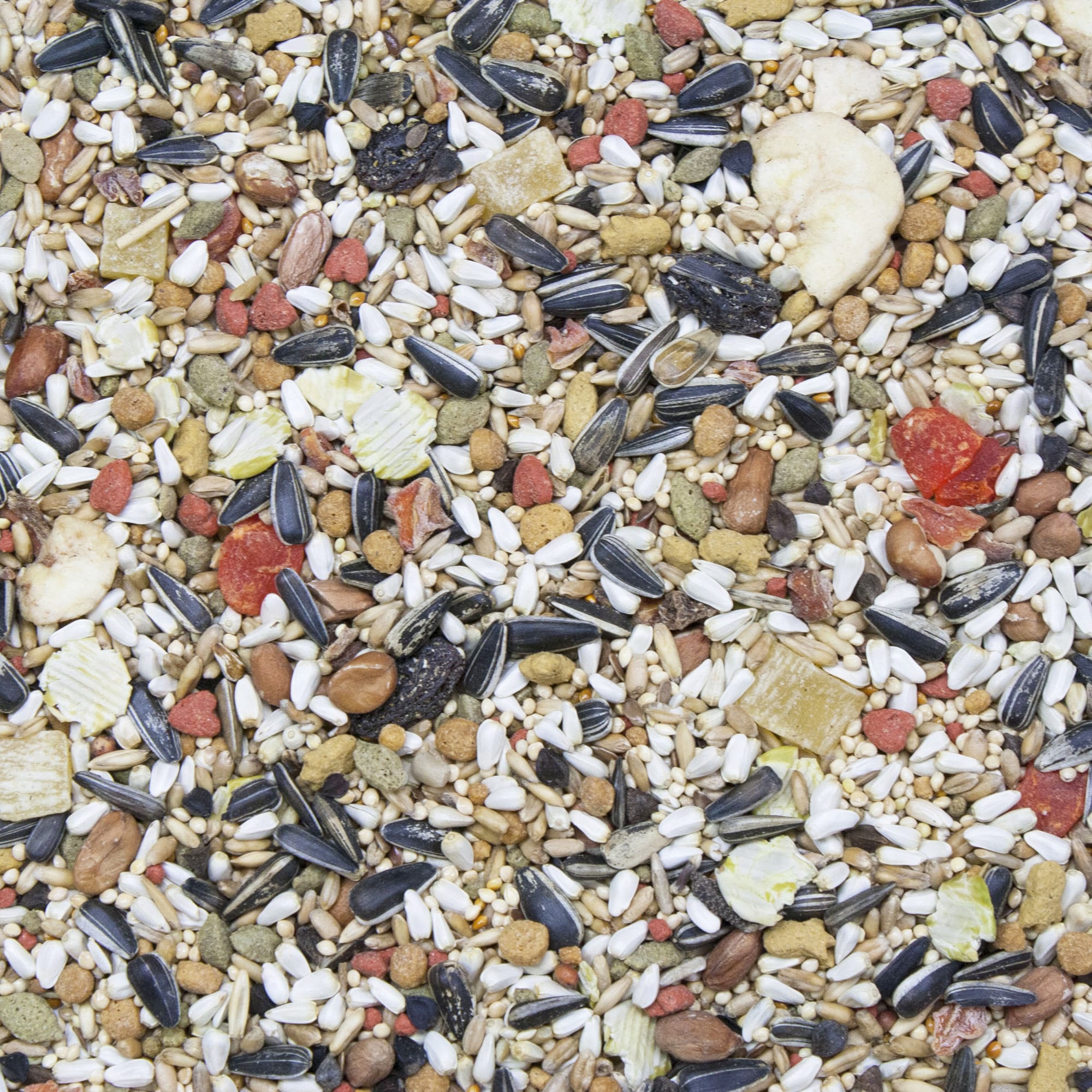 Safflower Bird Seed VITA SEED NATURAL BLEND PARROT Parakeet Food