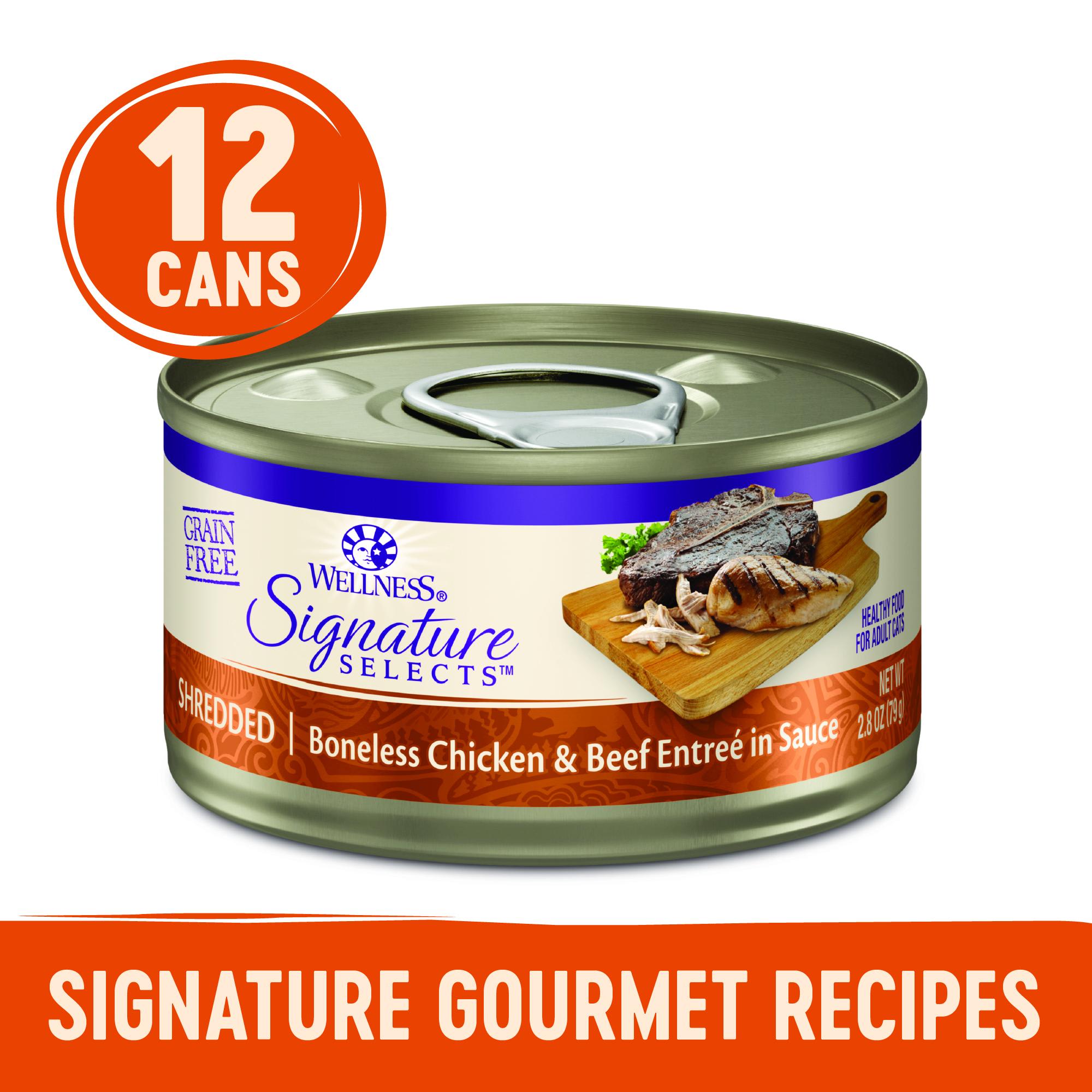 Petco wellness core cat hot sale food