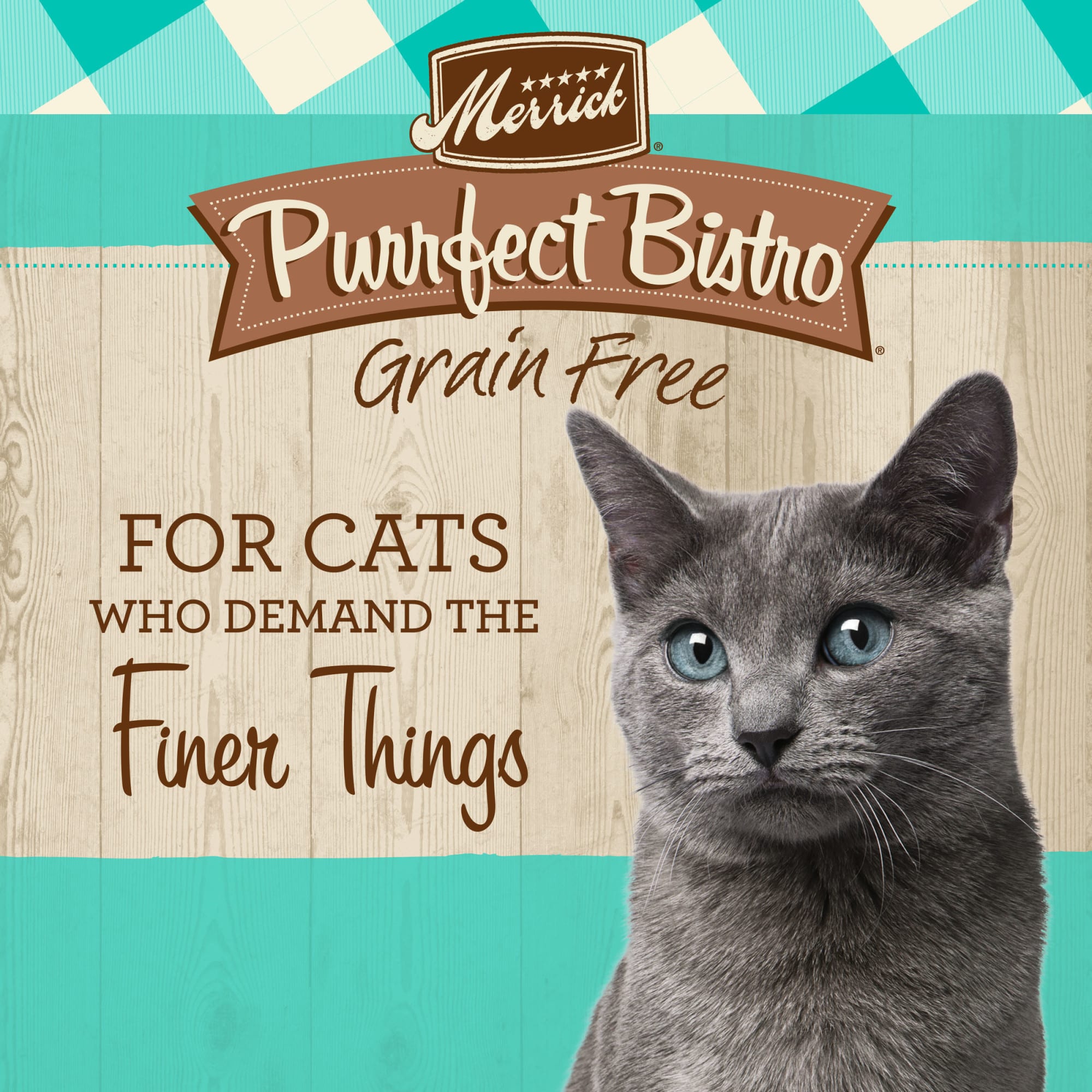 Merrick purrfect hot sale bistro salmon