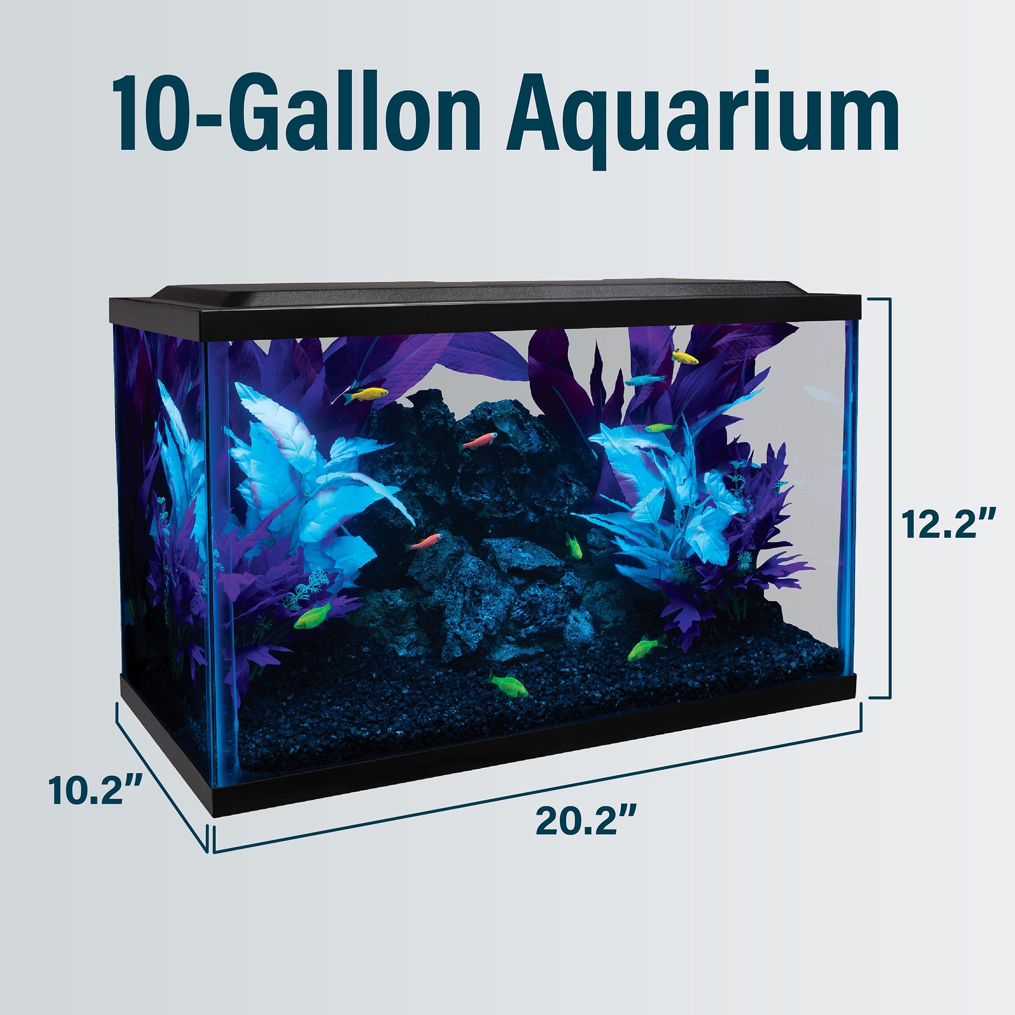 GloFish 10 Gallon Aquarium Kit with LED Lighting & Filter, 20"x10"x12" |  Petco