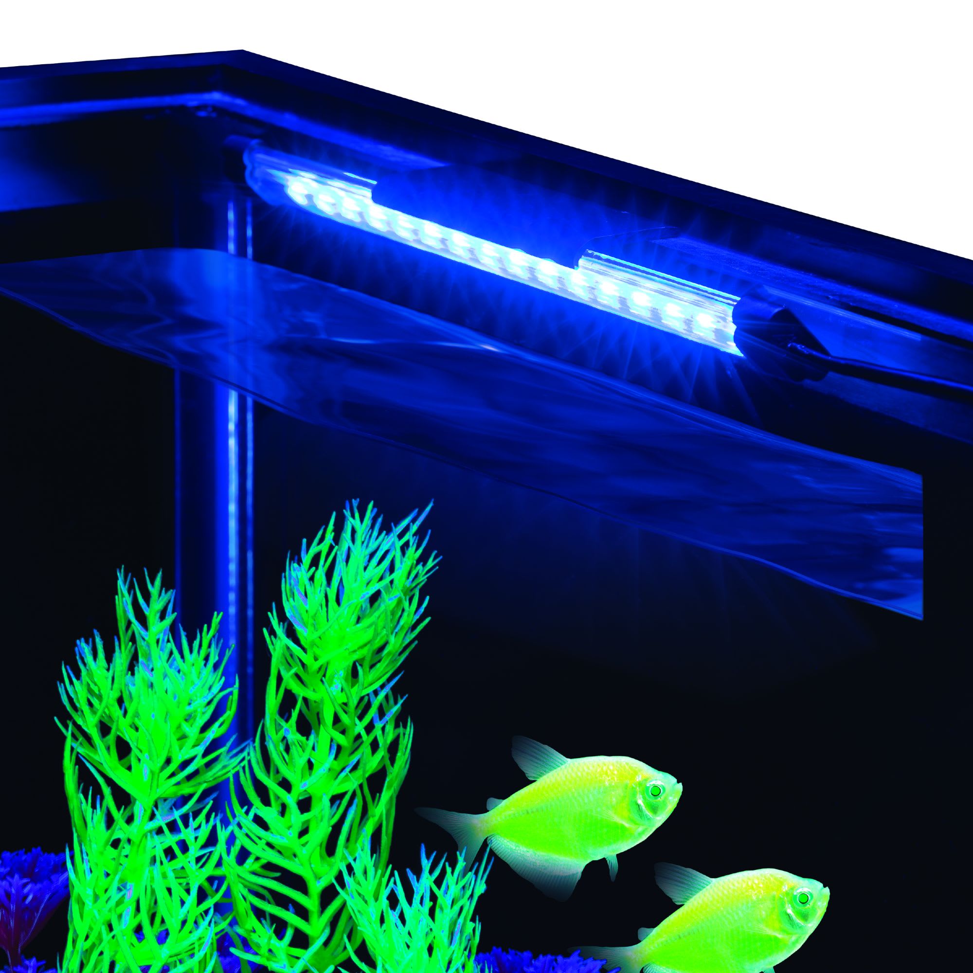 GloFish Blue LED Aquarium Waterproof Light, 8 L