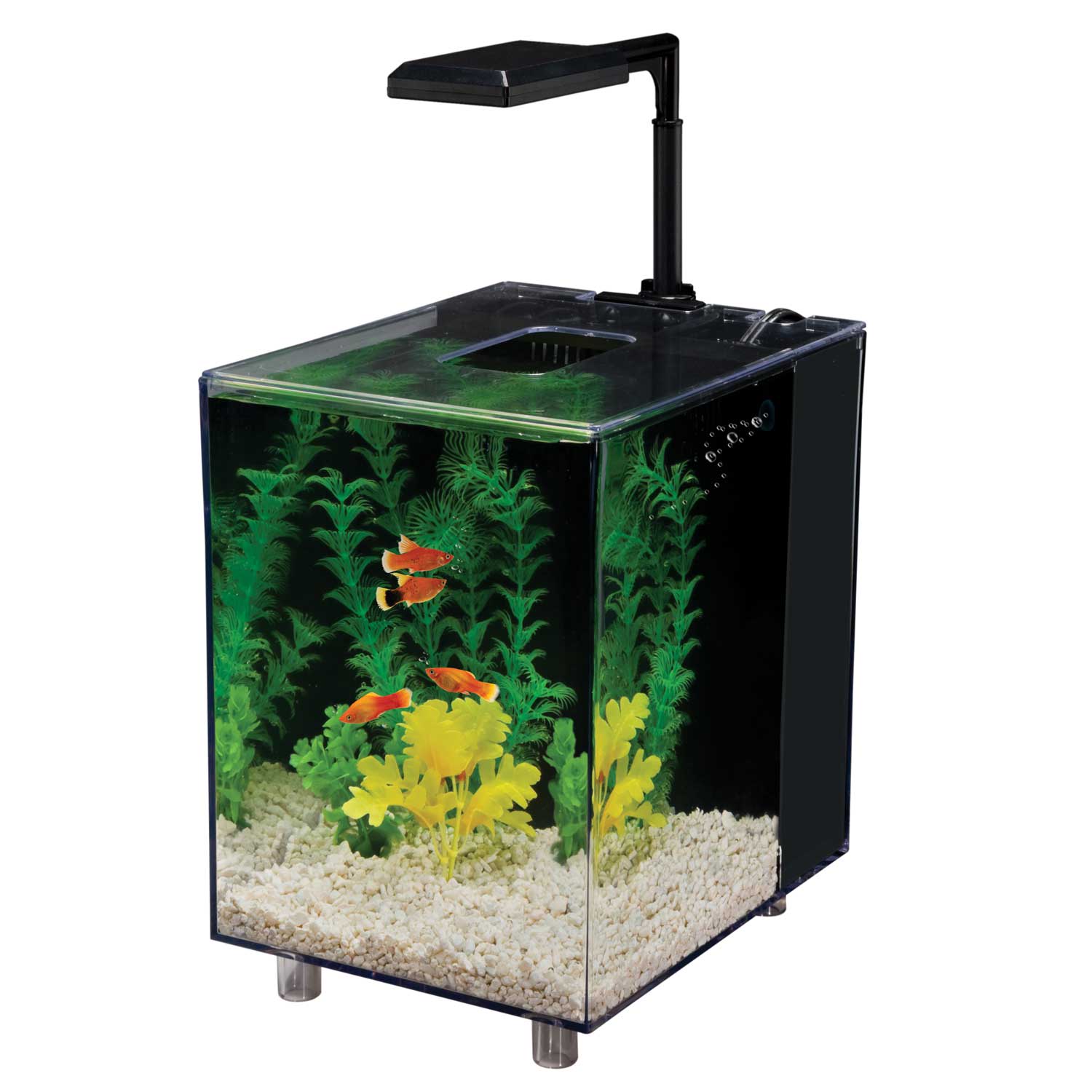 Penn Plax Black Prism Nano Aquarium Kit, 2 Gallon