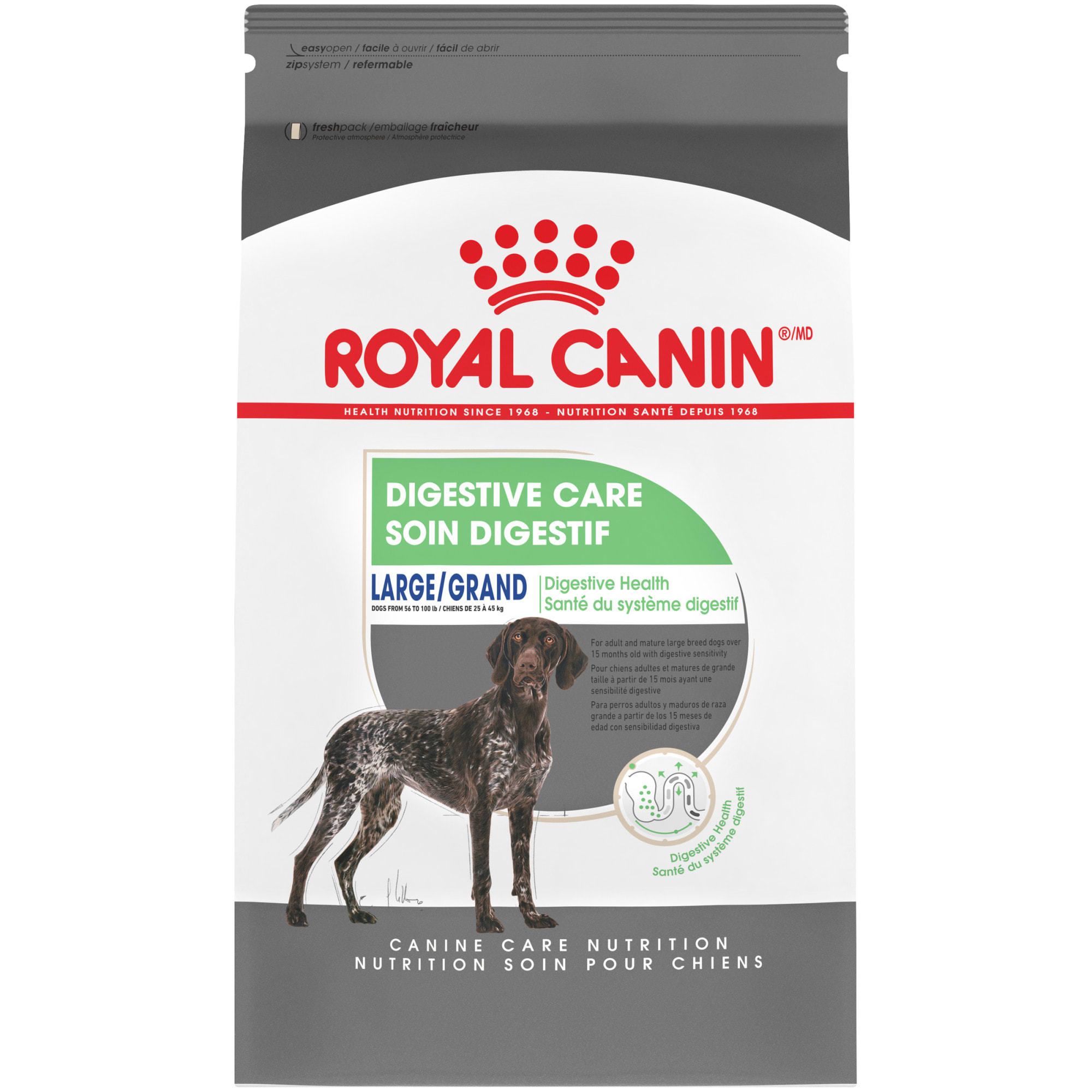 royal canin large adult dog food