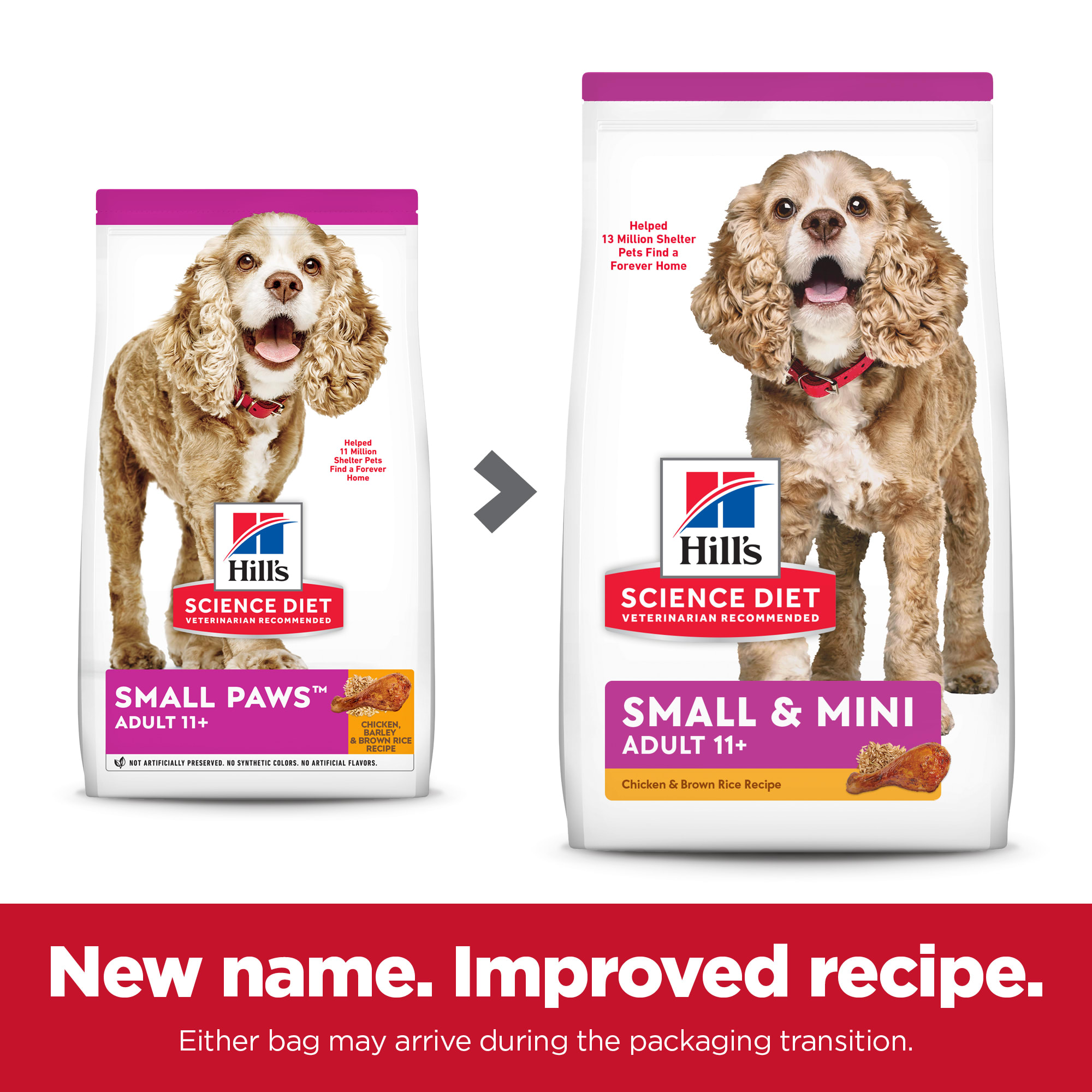 Petco science diet dog cheap food