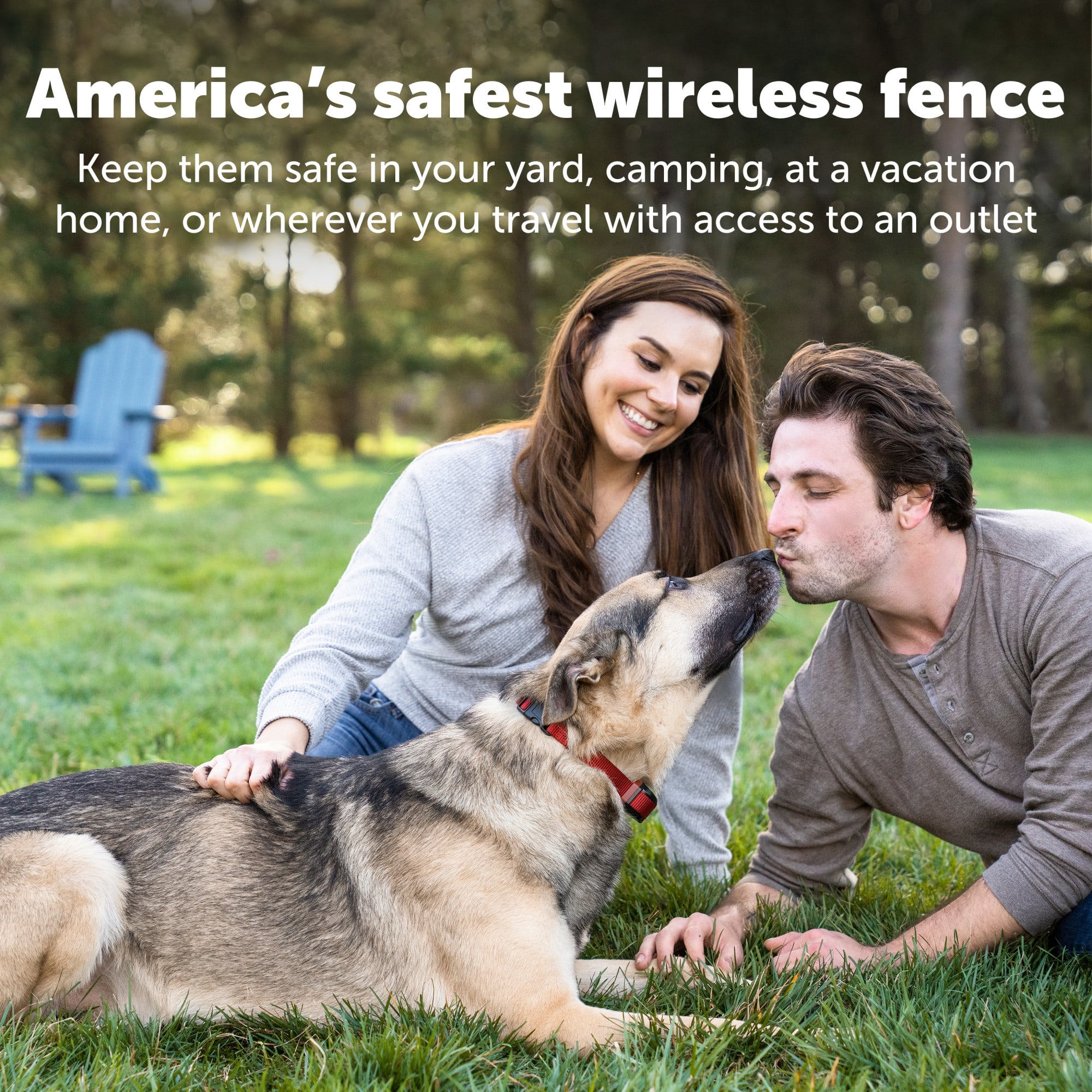 Petco 2024 wireless fence