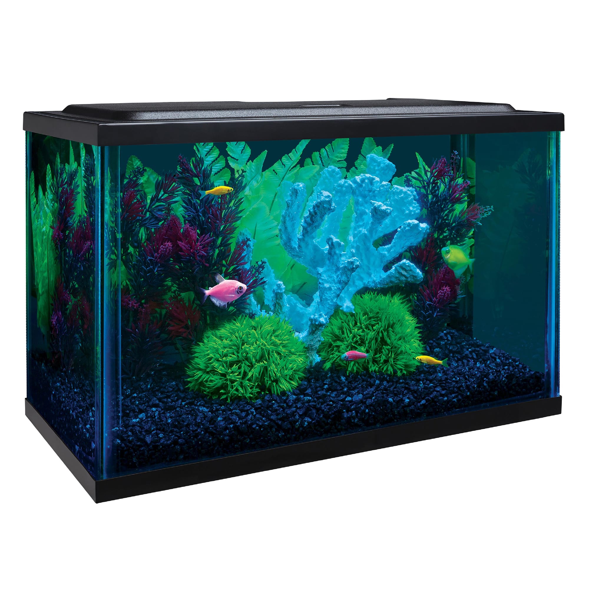 Aqueon Black 5 Gallon LED MiniBow SmartClean Kit