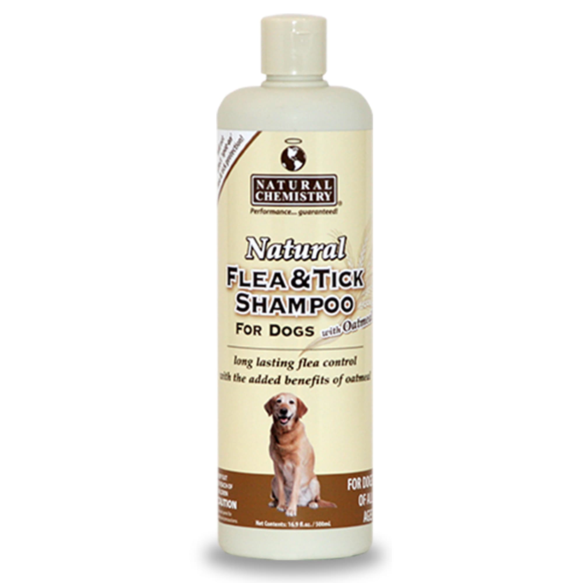 natural flea shampoo for dogs