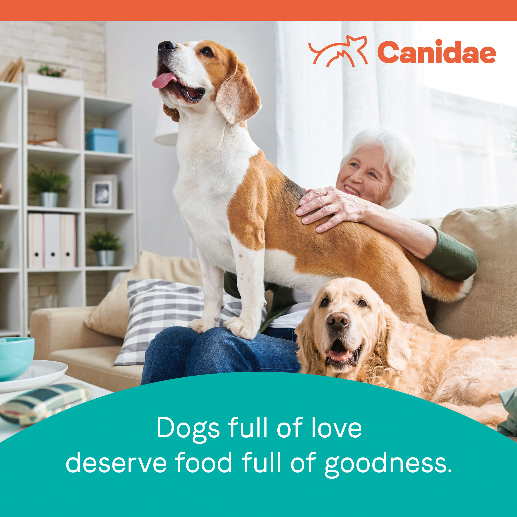 canidae less active