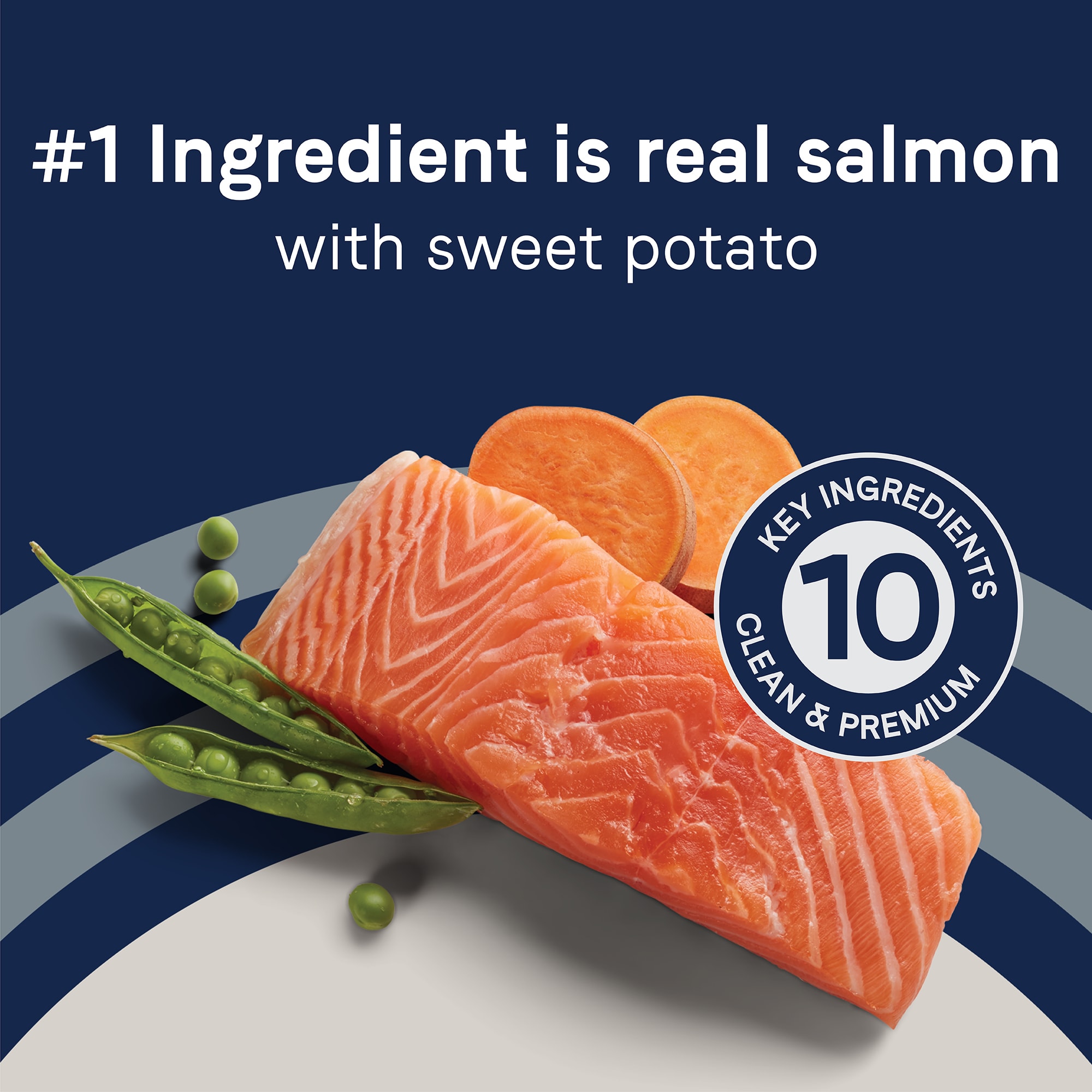 Canidae pure salmon and sweet clearance potato