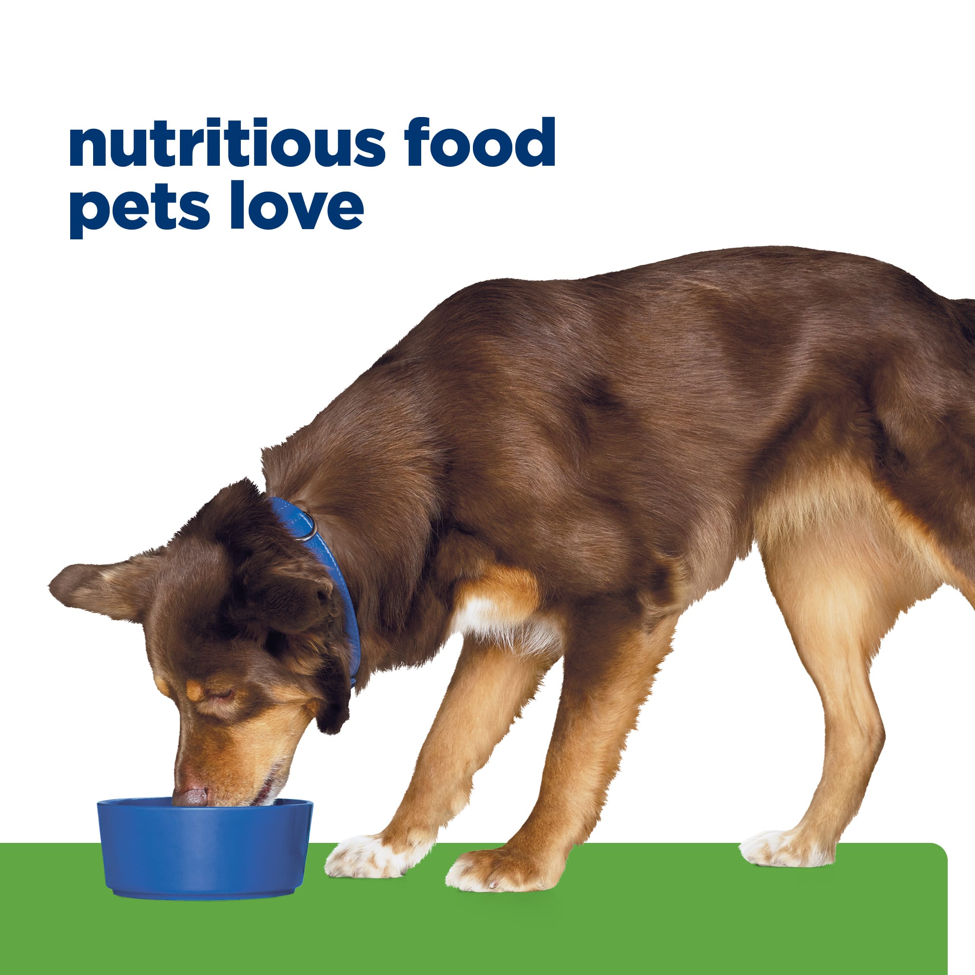 Hills metabolic dog outlet food