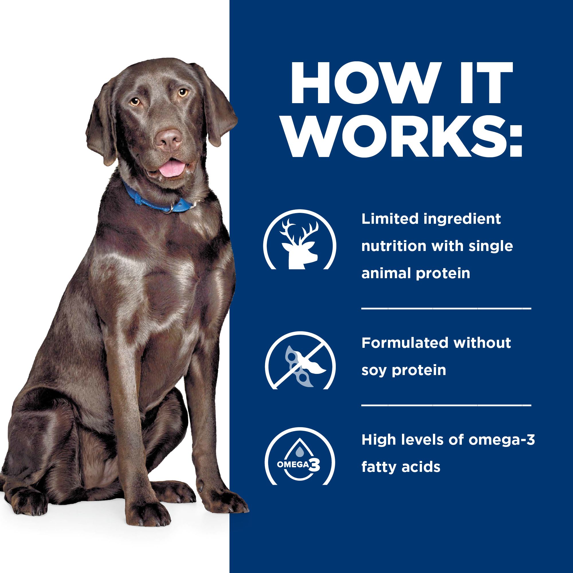 adult blue diamond dog food Diamond Naturals Beef Meal & Rice Adult Dog Food 40 lb main image 0