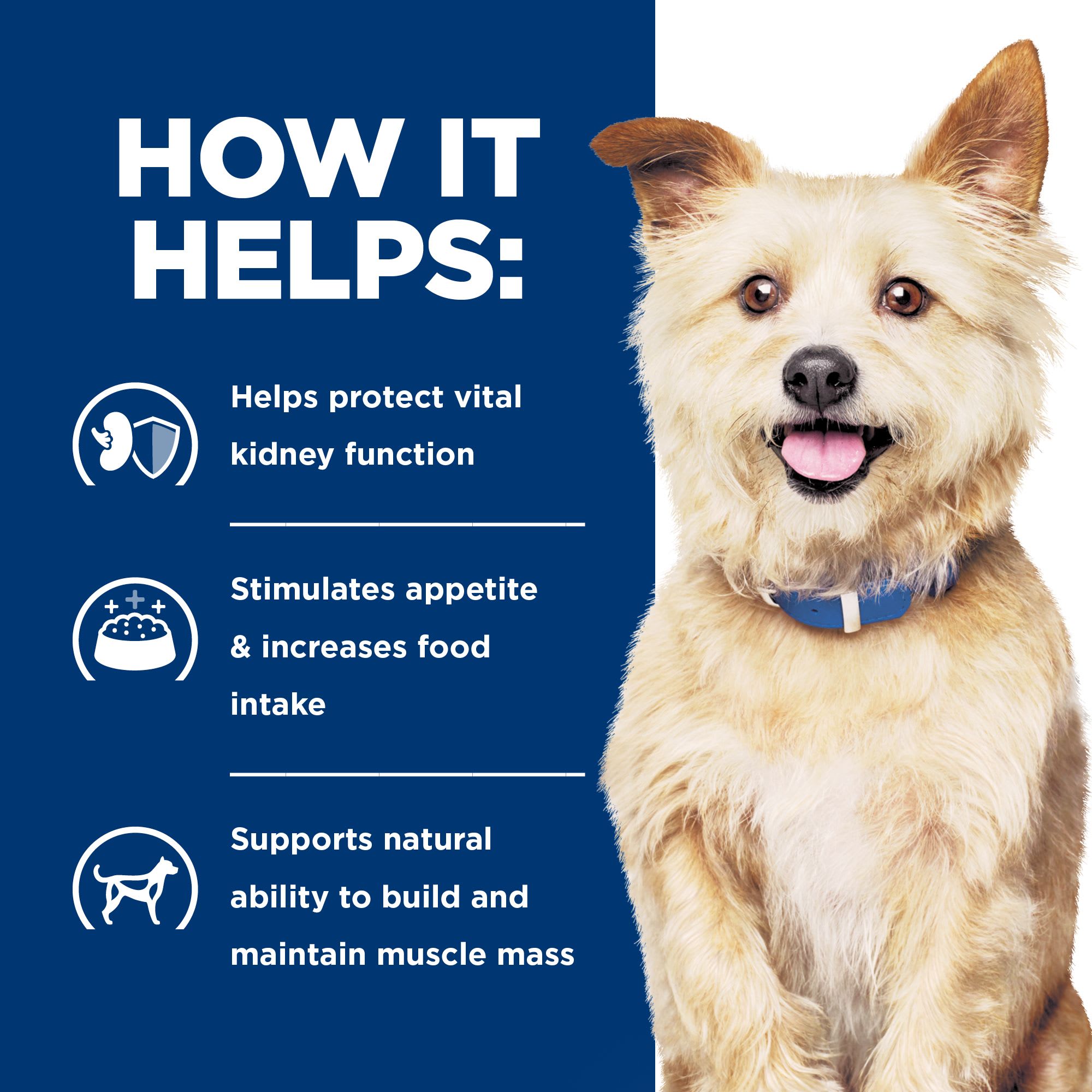 Petco kidney dog clearance food