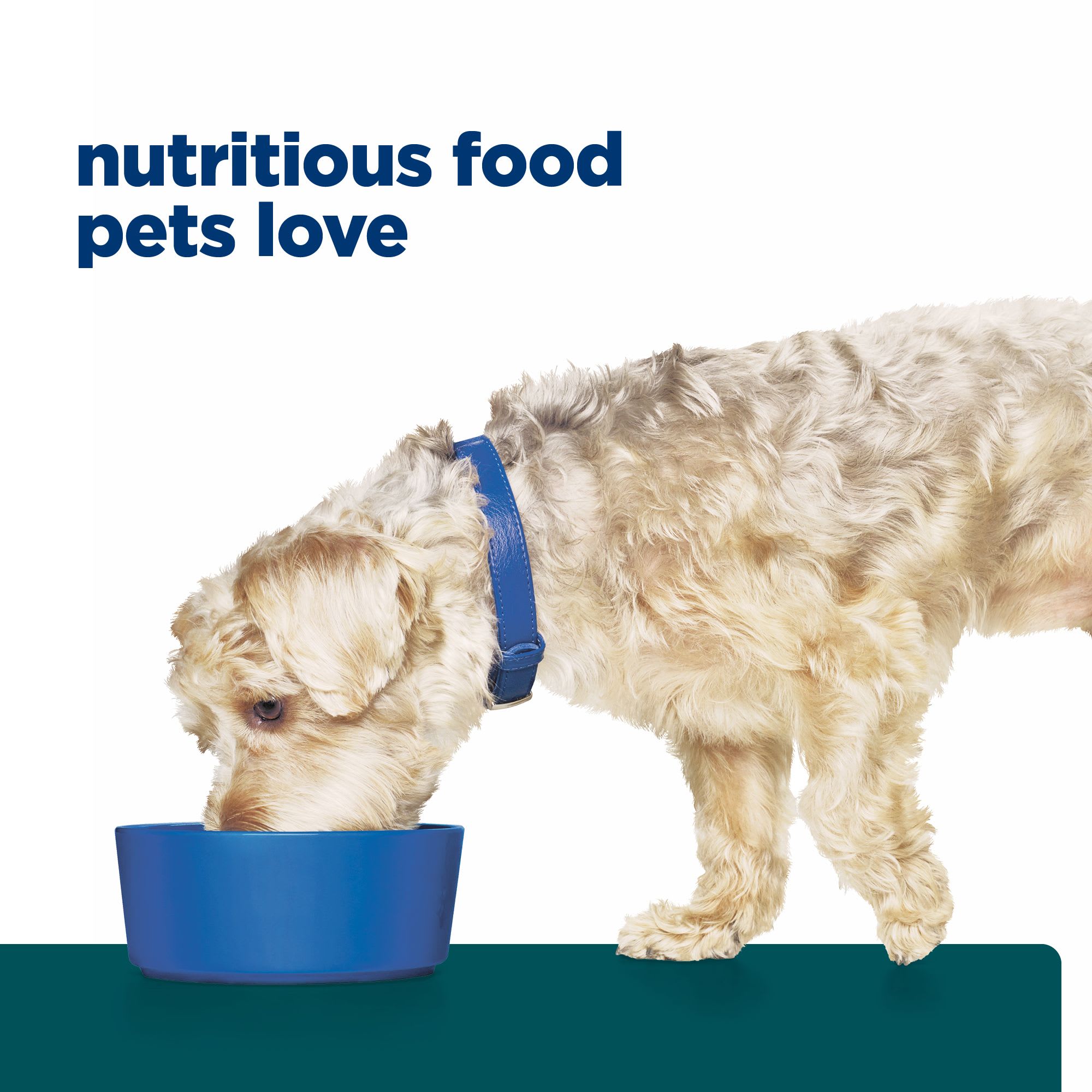 Science diet outlet wd dog food