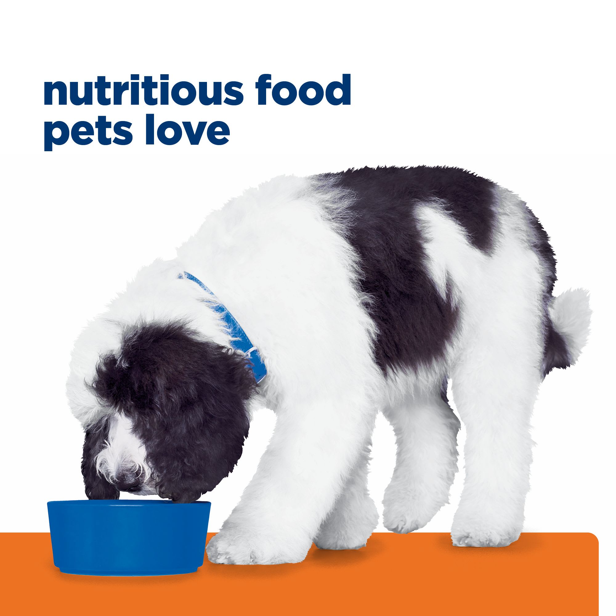 Hill's Prescription Diet c/d Multicare Urinary Care Chicken Flavor Canned Dog  Food, 13 oz., Case of 12 | Petco
