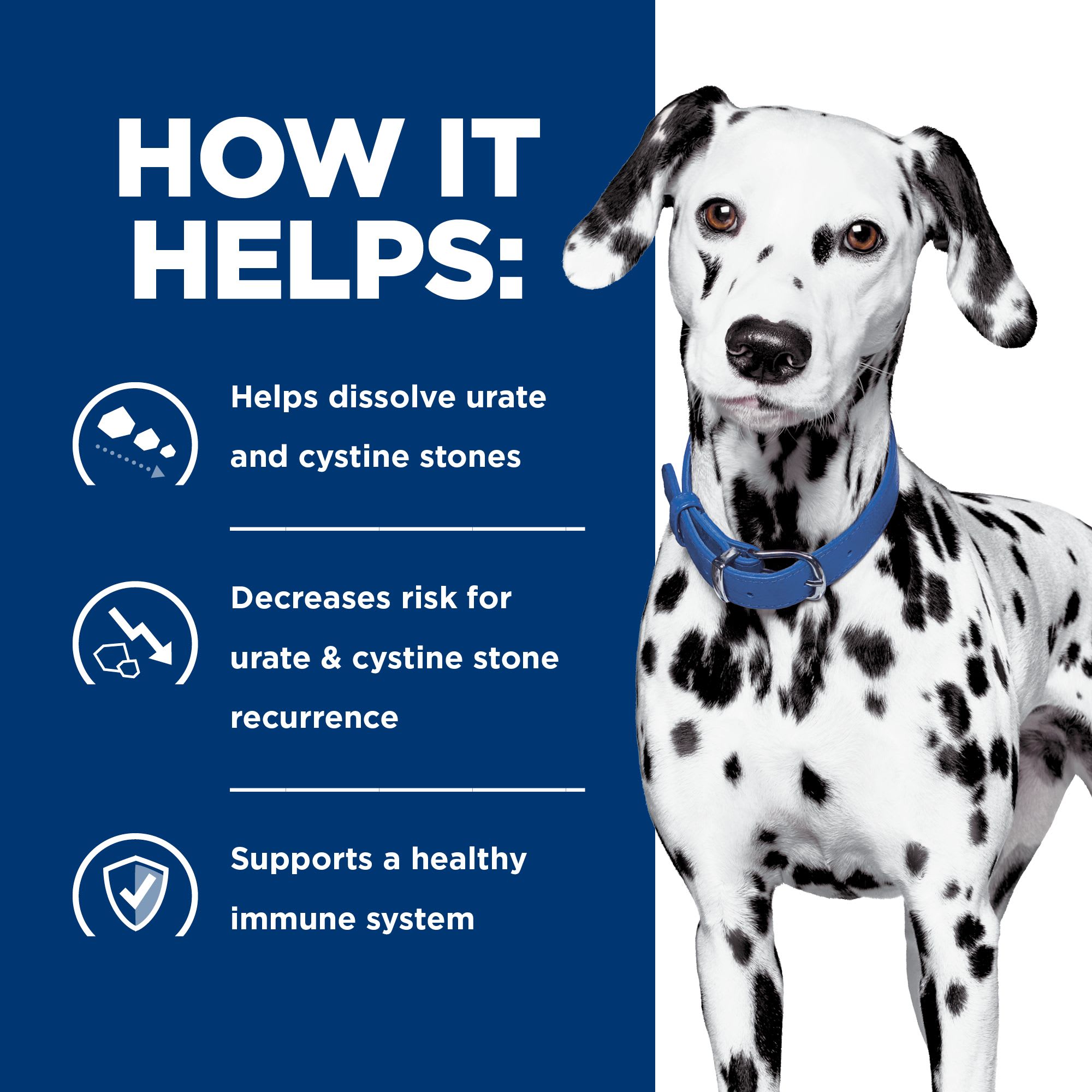 Hill's Prescription u/d Urinary Care Chicken Dog Food, 13 12