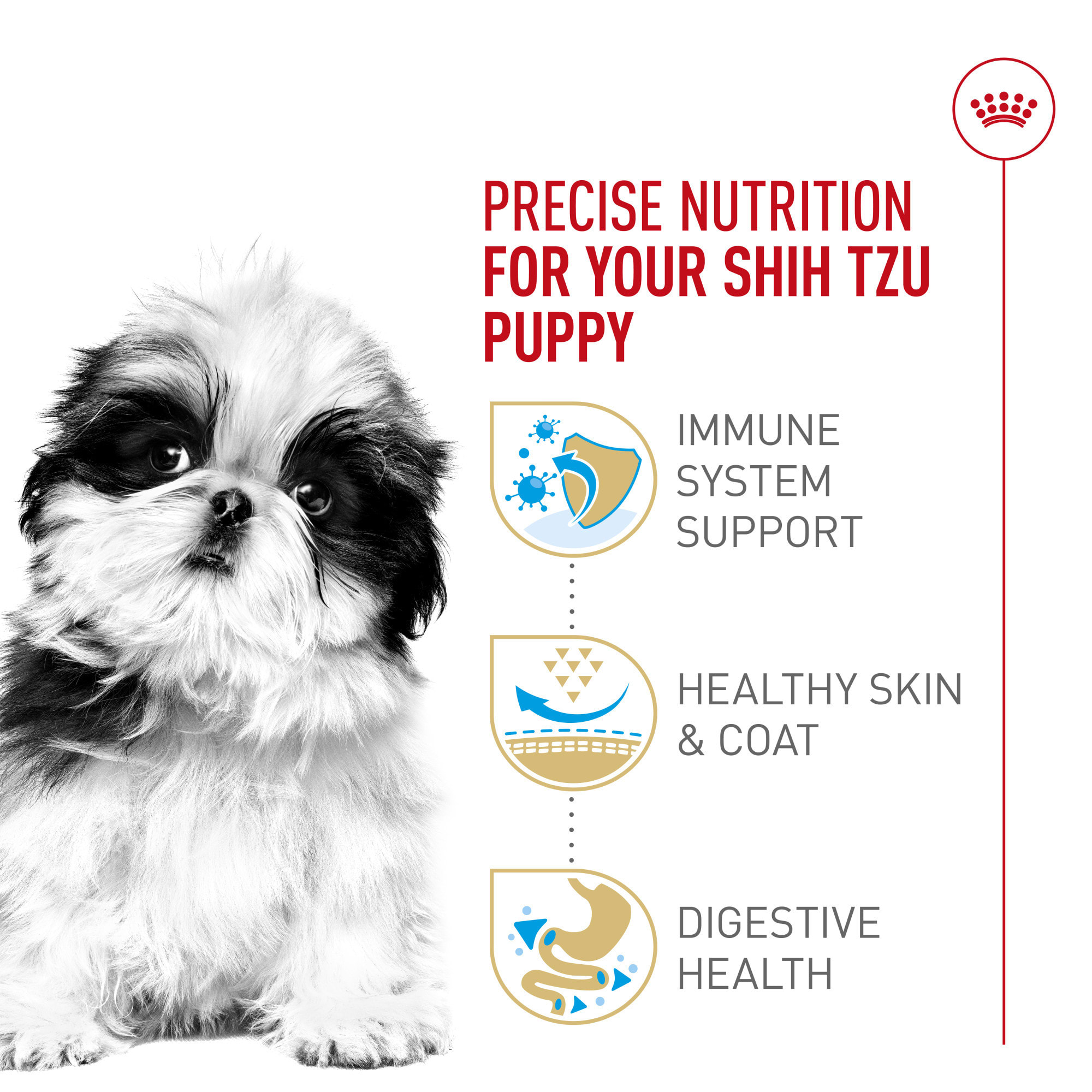 Royal Canin Shih Tzu Puppy Dry Dog Food, Petco